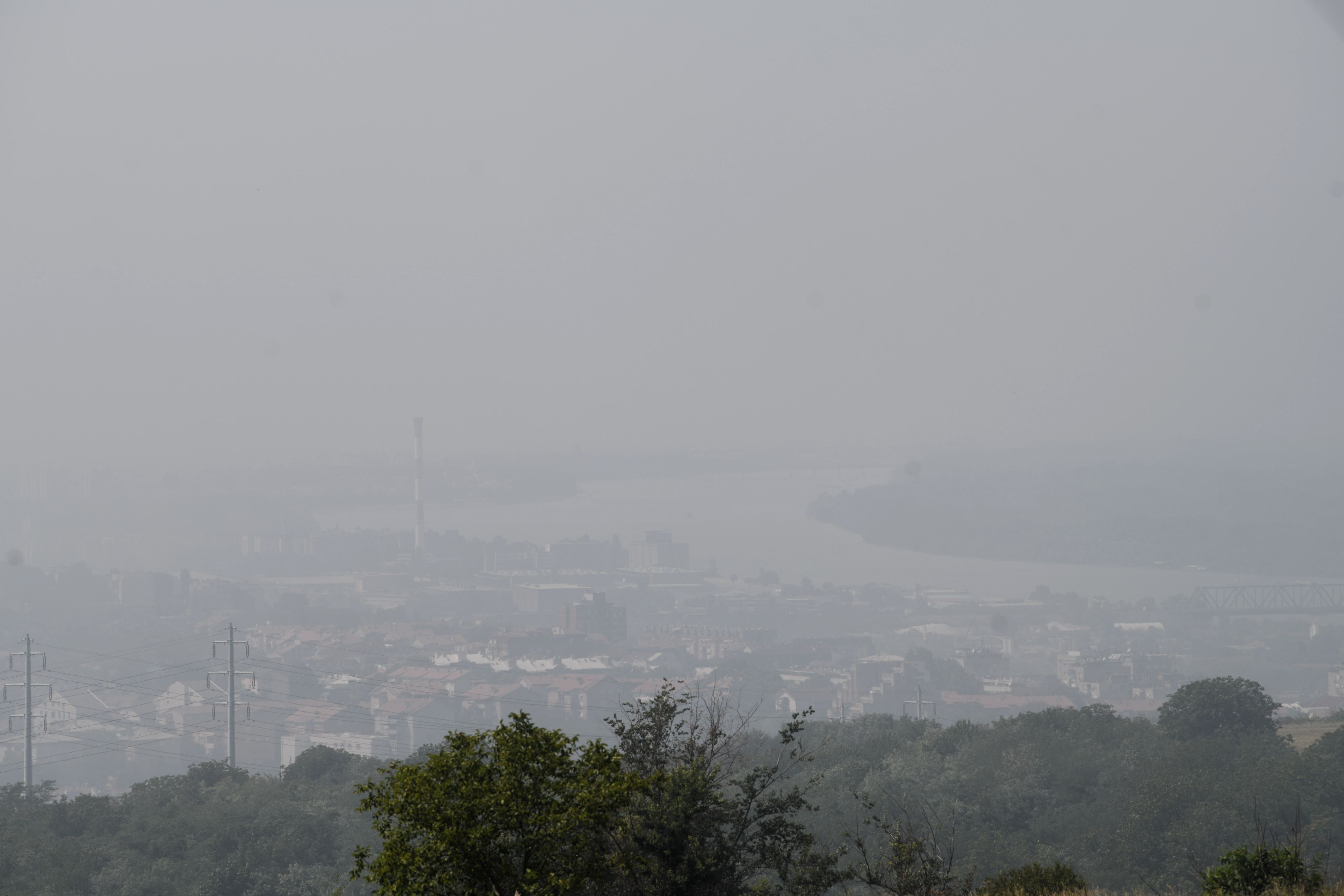 FIL_4432-01 foto dana