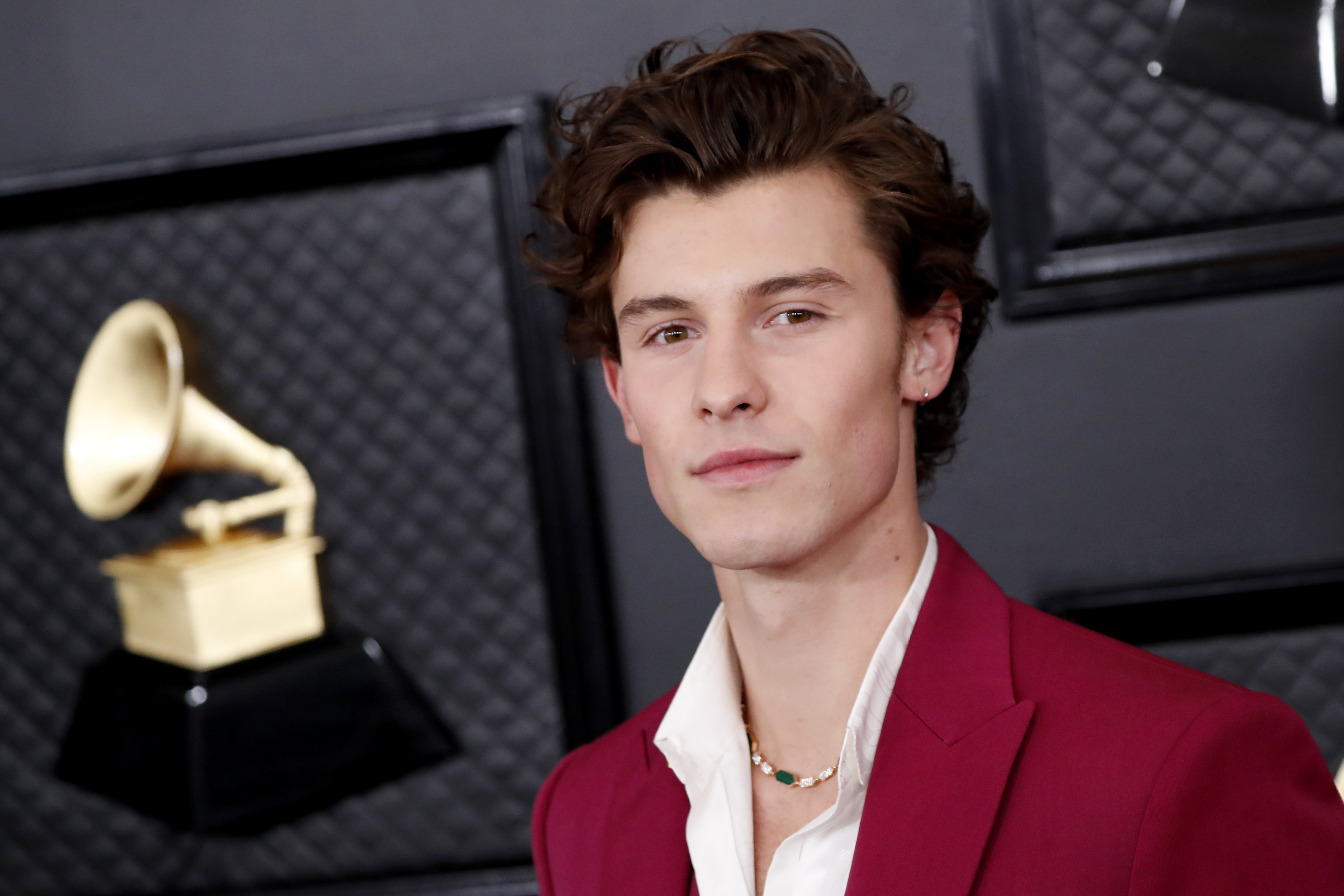 Arrivals - 62nd Annual Grammy Awards