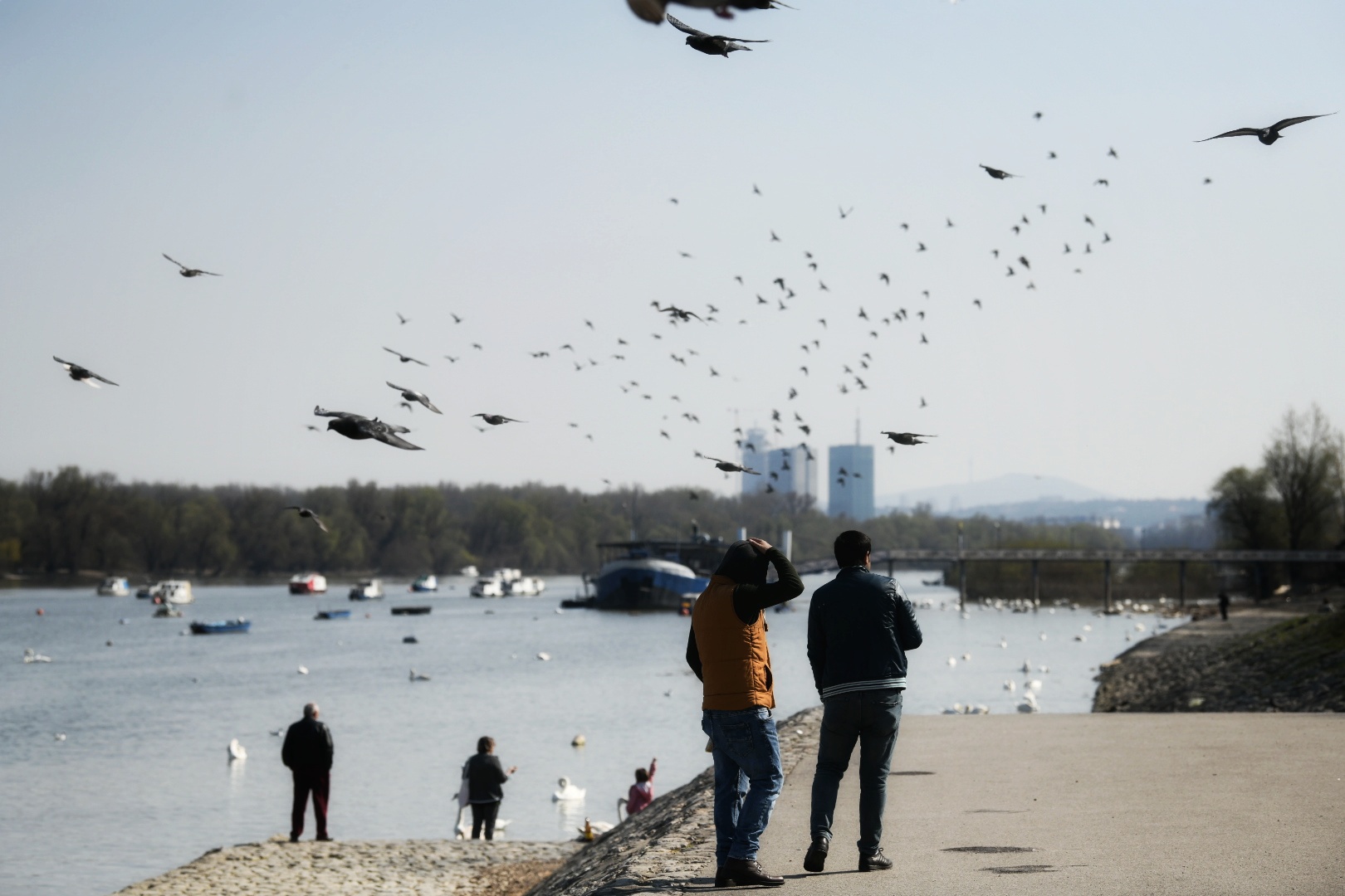 Beograd 26.03.2021. Zemunski kej, Zemun, lepo vreme, proleće, ljudi, ptice Foto: Vesna Lalić/Nova.rs