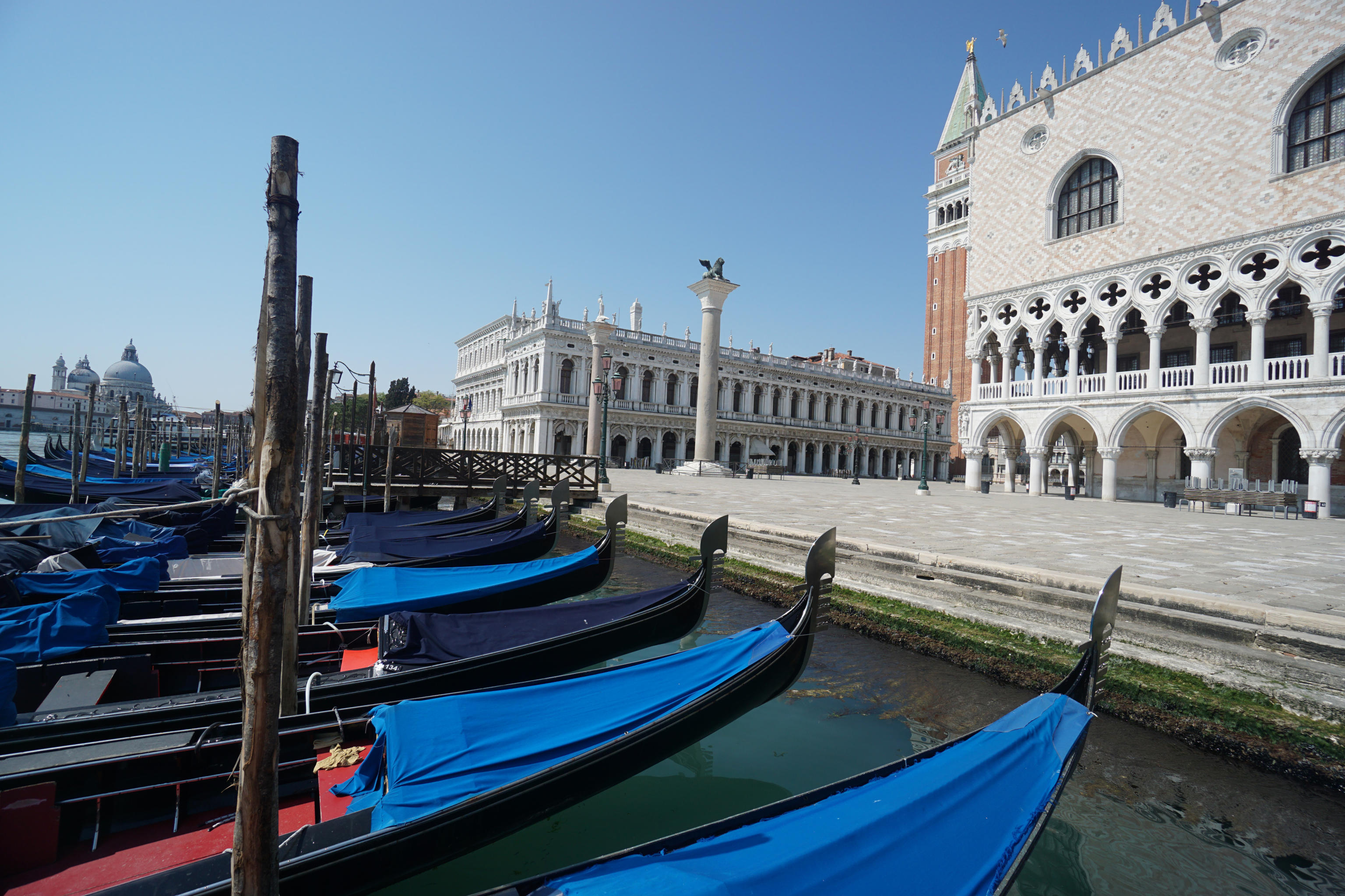 Koronavirus Venecija, Coronavirus pandemic in Venice