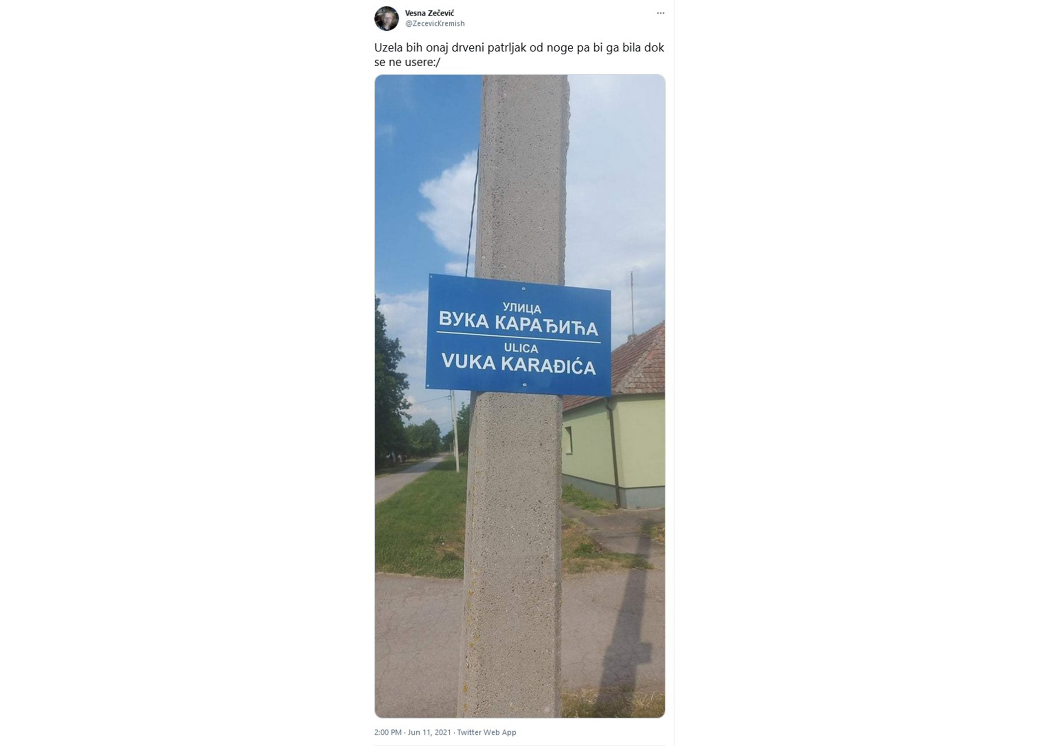 ulica vuka karadzica