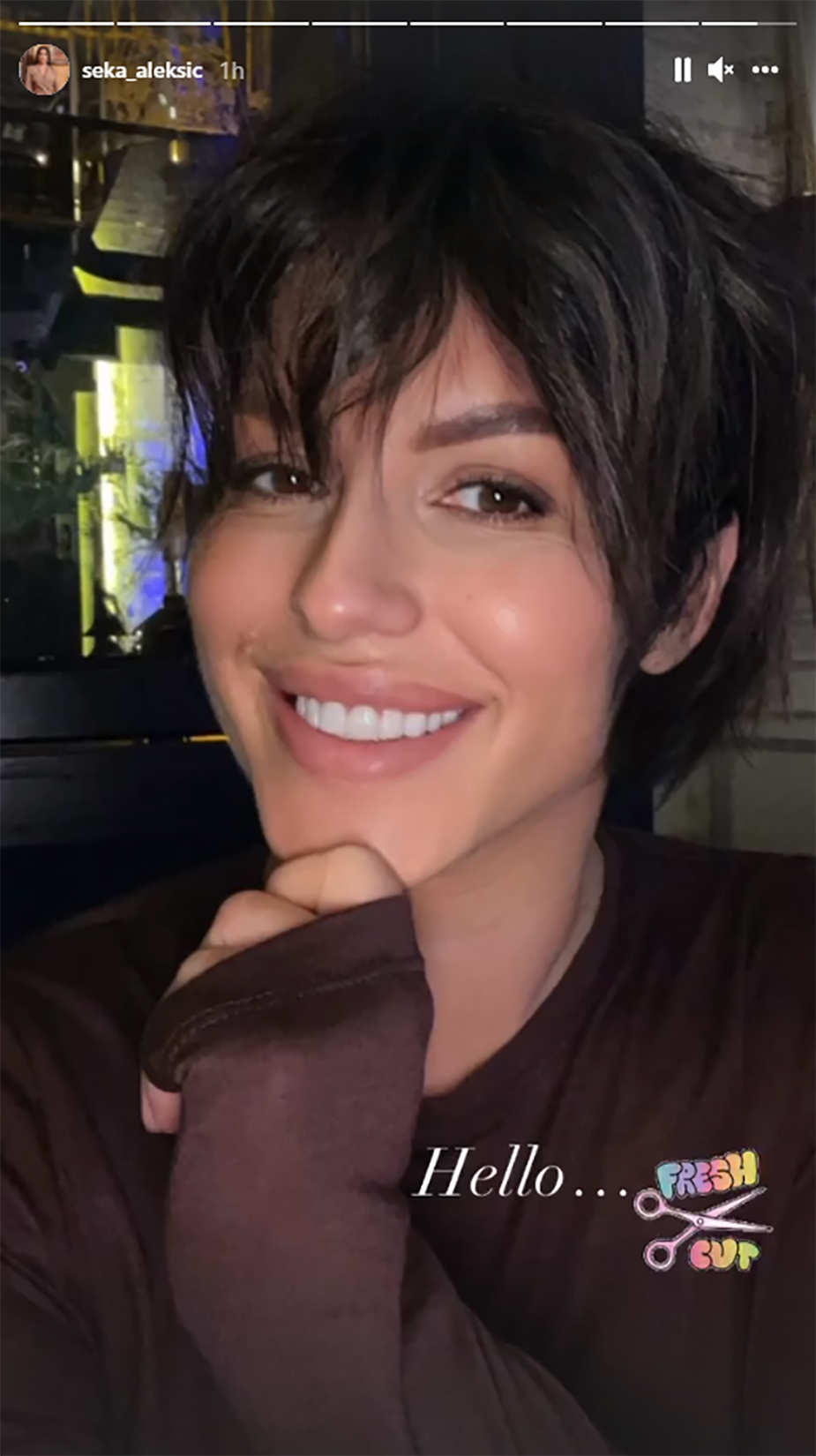 1634146993-seka-aleksic-i-frizura.png