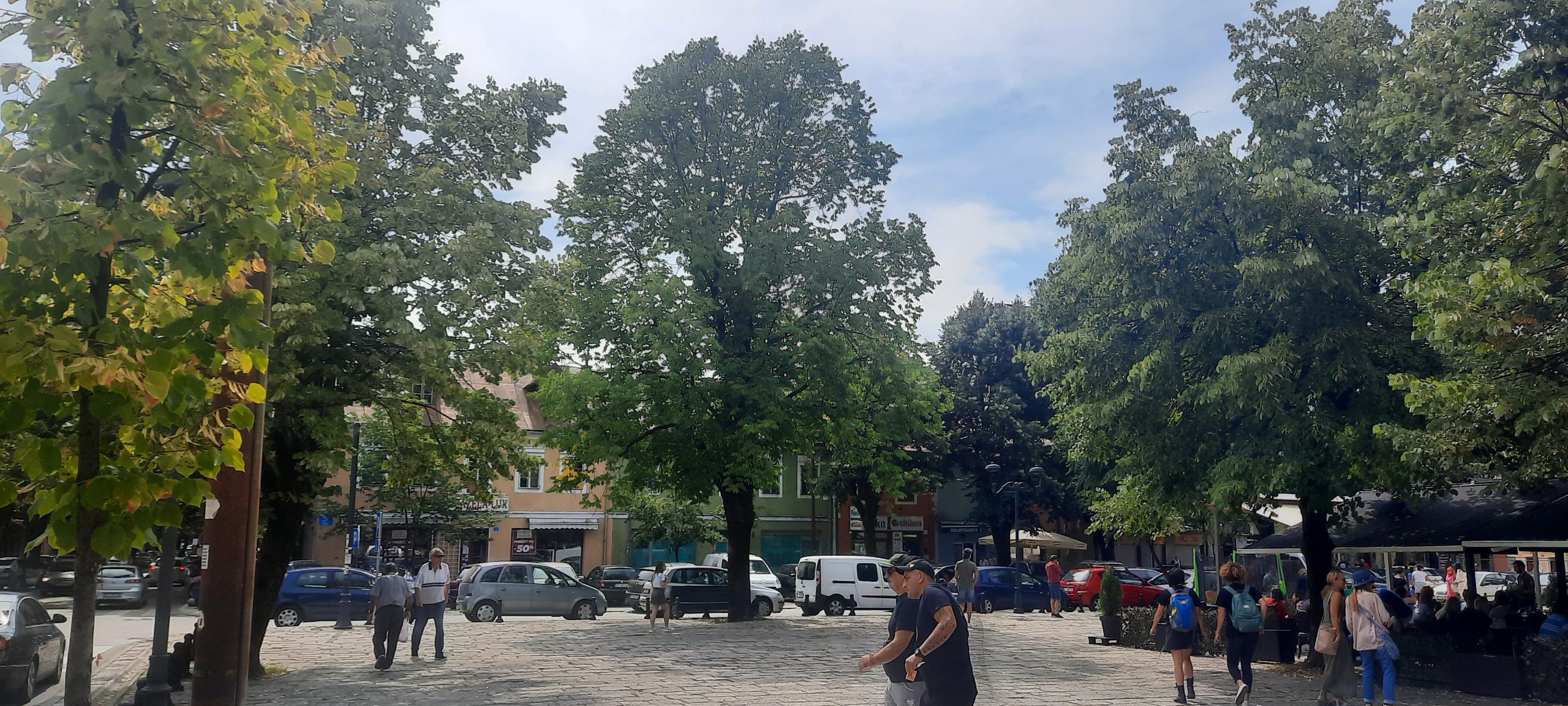 Crna Gora, Cetinje 04.09.2021. Dan pred ustoličenje mitropolita Joanikija Foto: Nova.rs