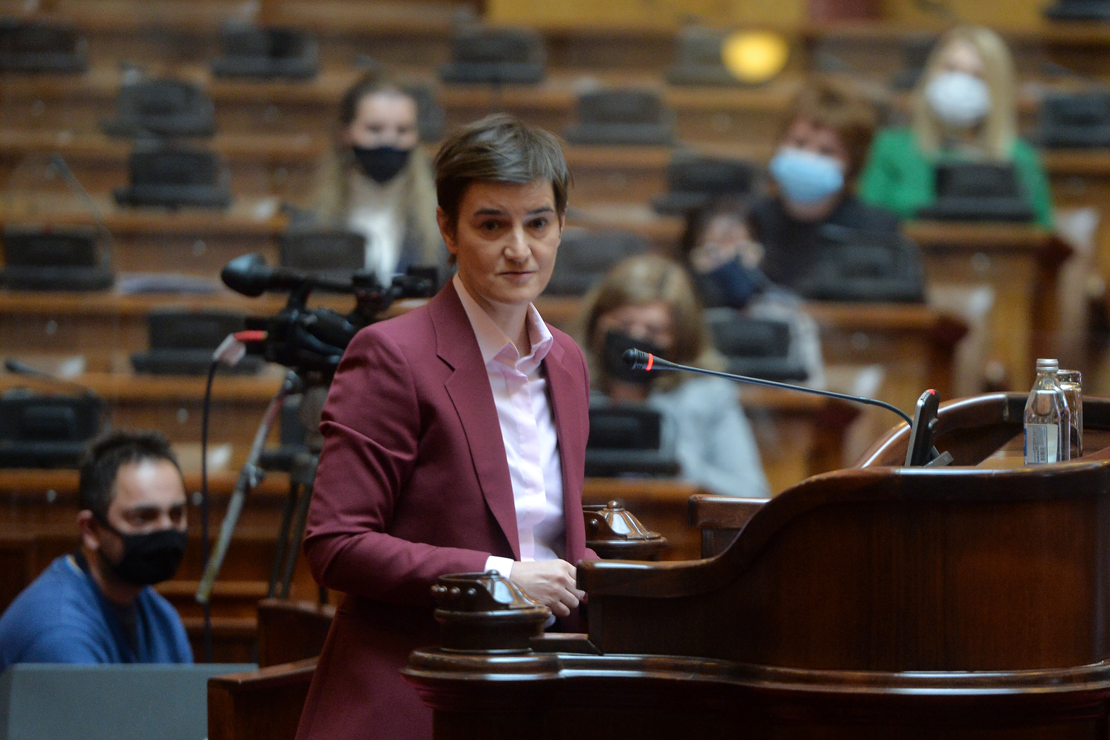 ANA BRNABIC