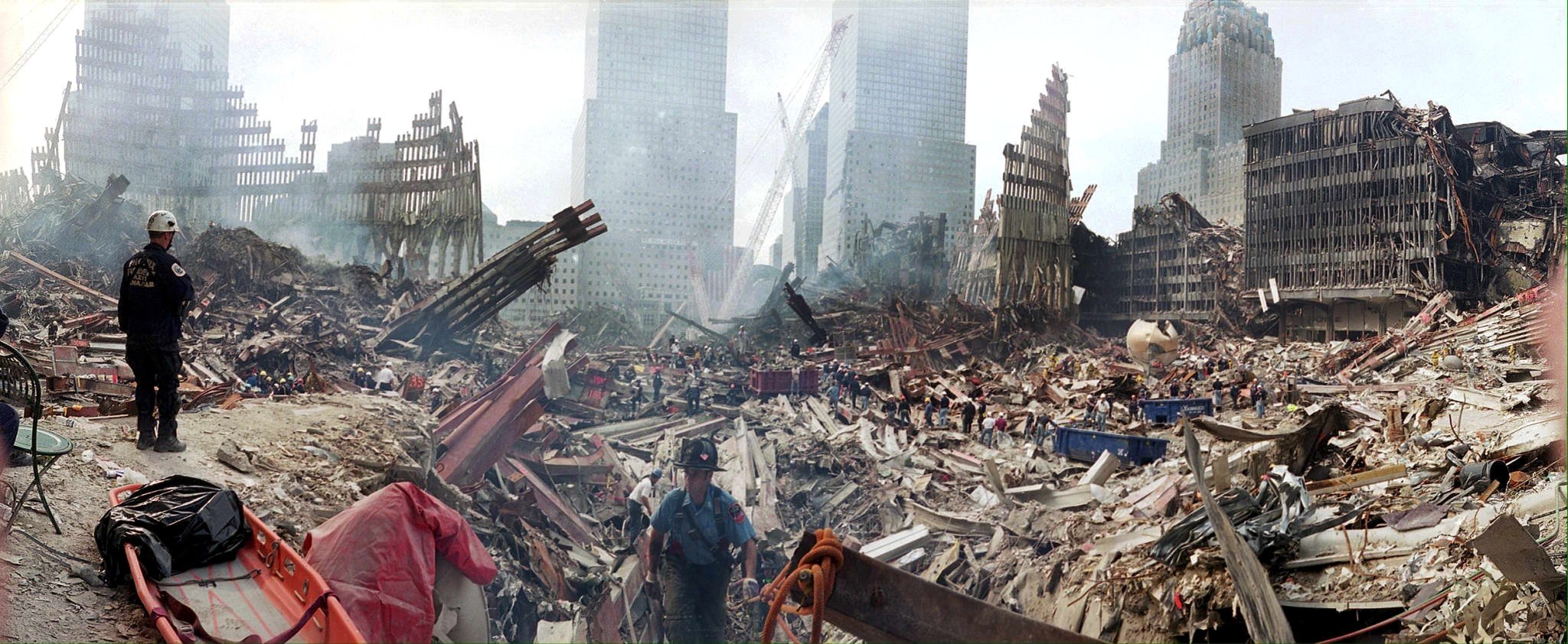1631194558-h_57149224.jpg