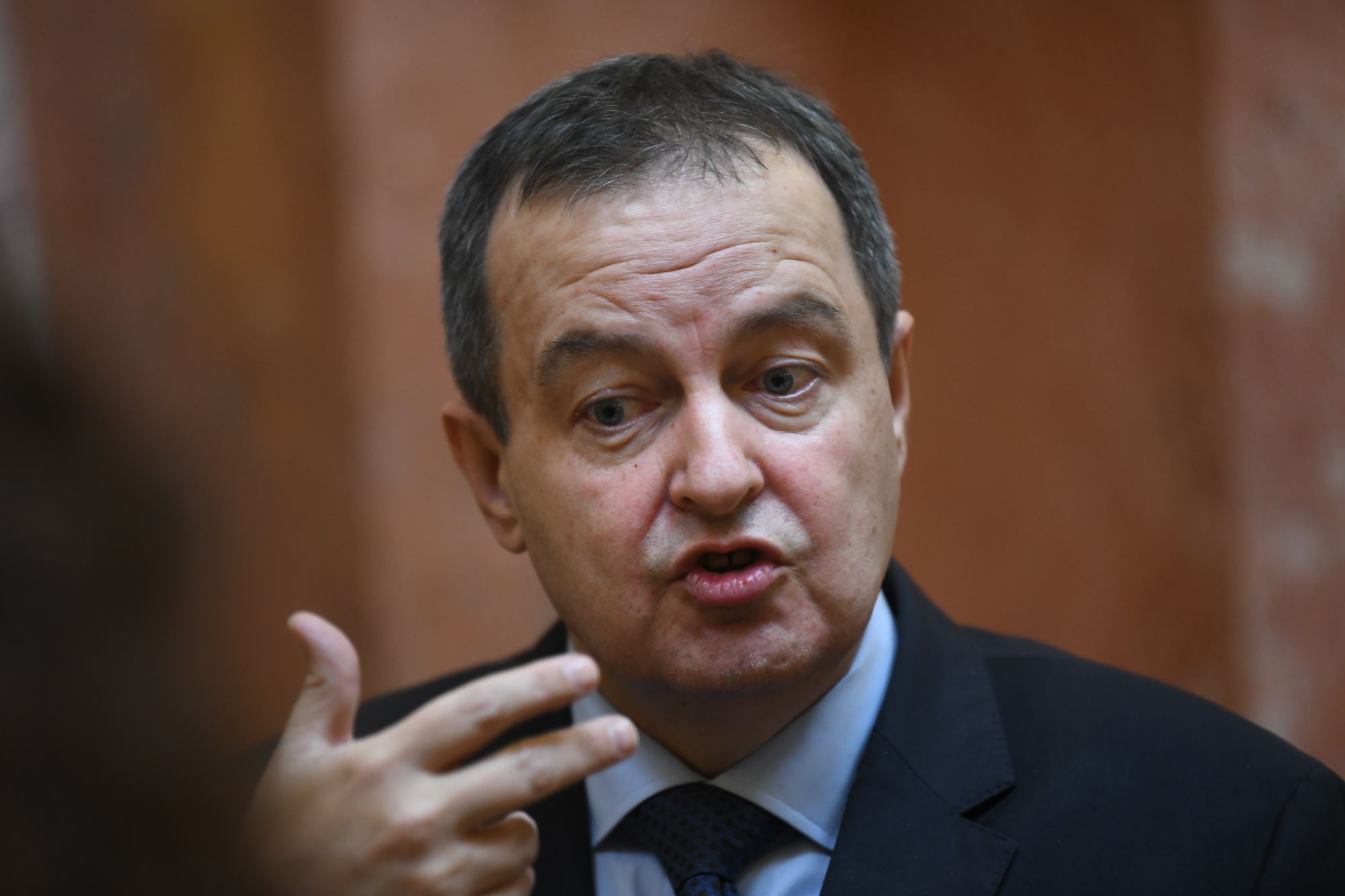 Beograd, 25.01.2021. Ivica Dačić, Ženska parlamentarna mreža kzš Foto: Goran Srdanov/Nova.rs