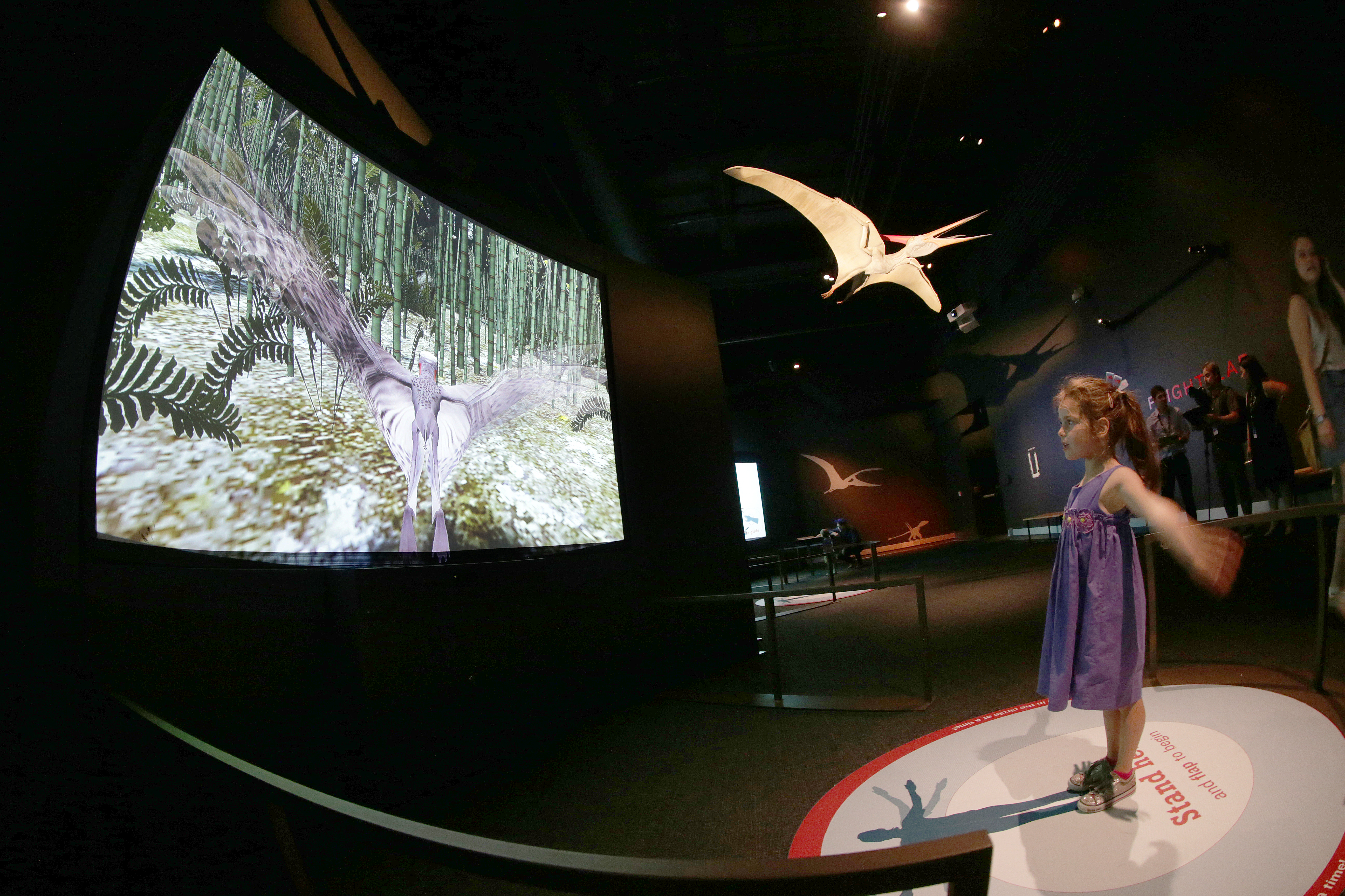 Pterosaurs exhibit press preview at Natural History Museum of Los Angeles County in Los Angeles, California