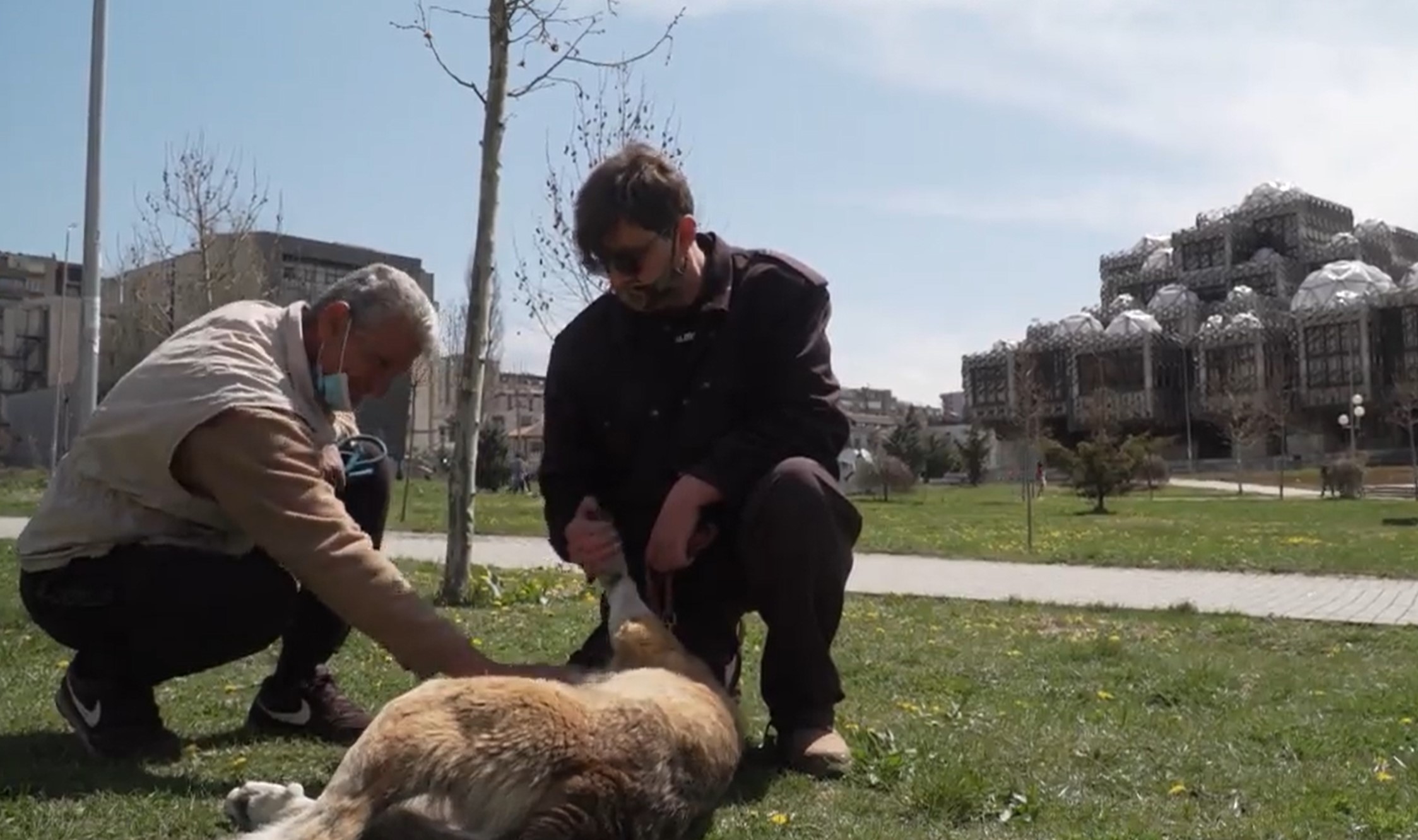 Mentor i Slaviša se već 10 godina bave spasavanjem pasa sa ulice, Srbin i Albanac