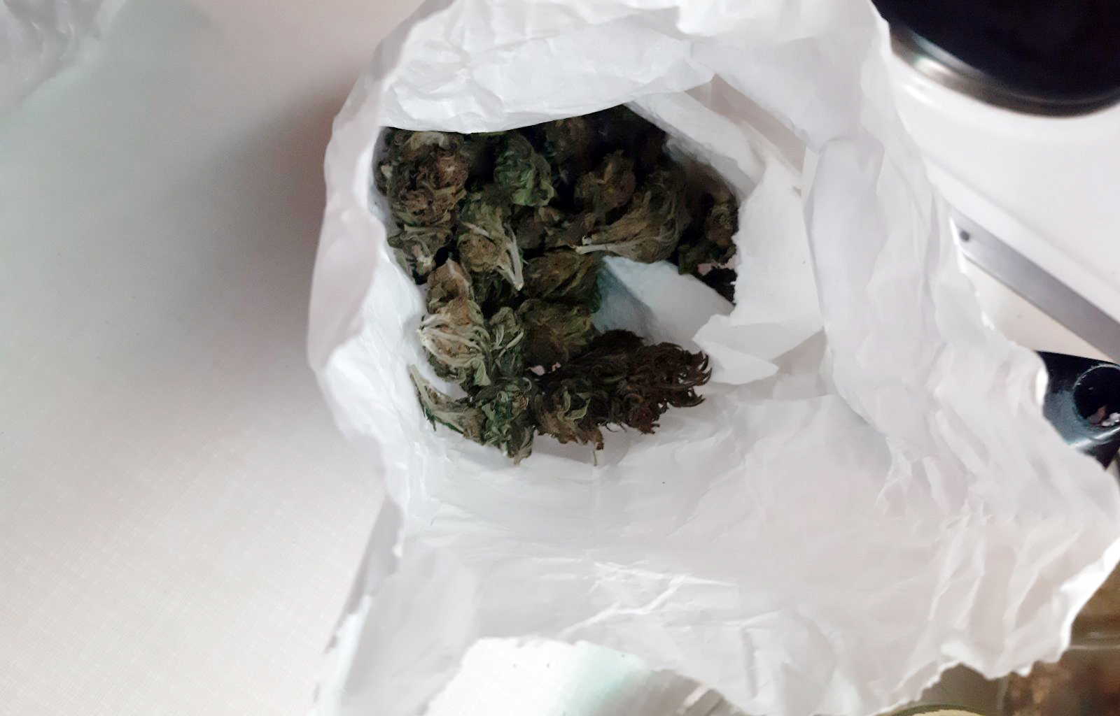 Novi Sad, marihurana, trava, droga, zaplena Foto: MUP