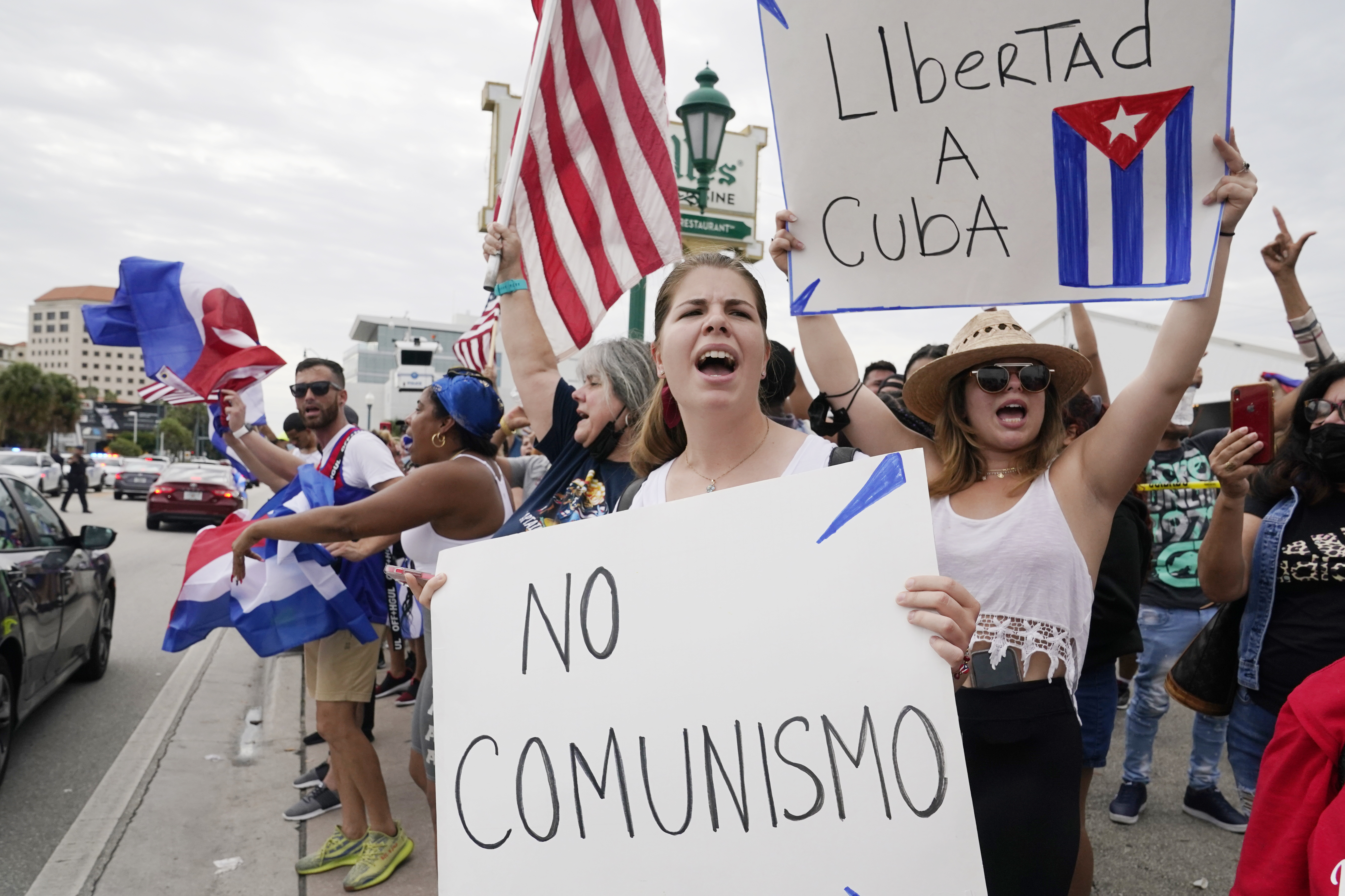 Protestors