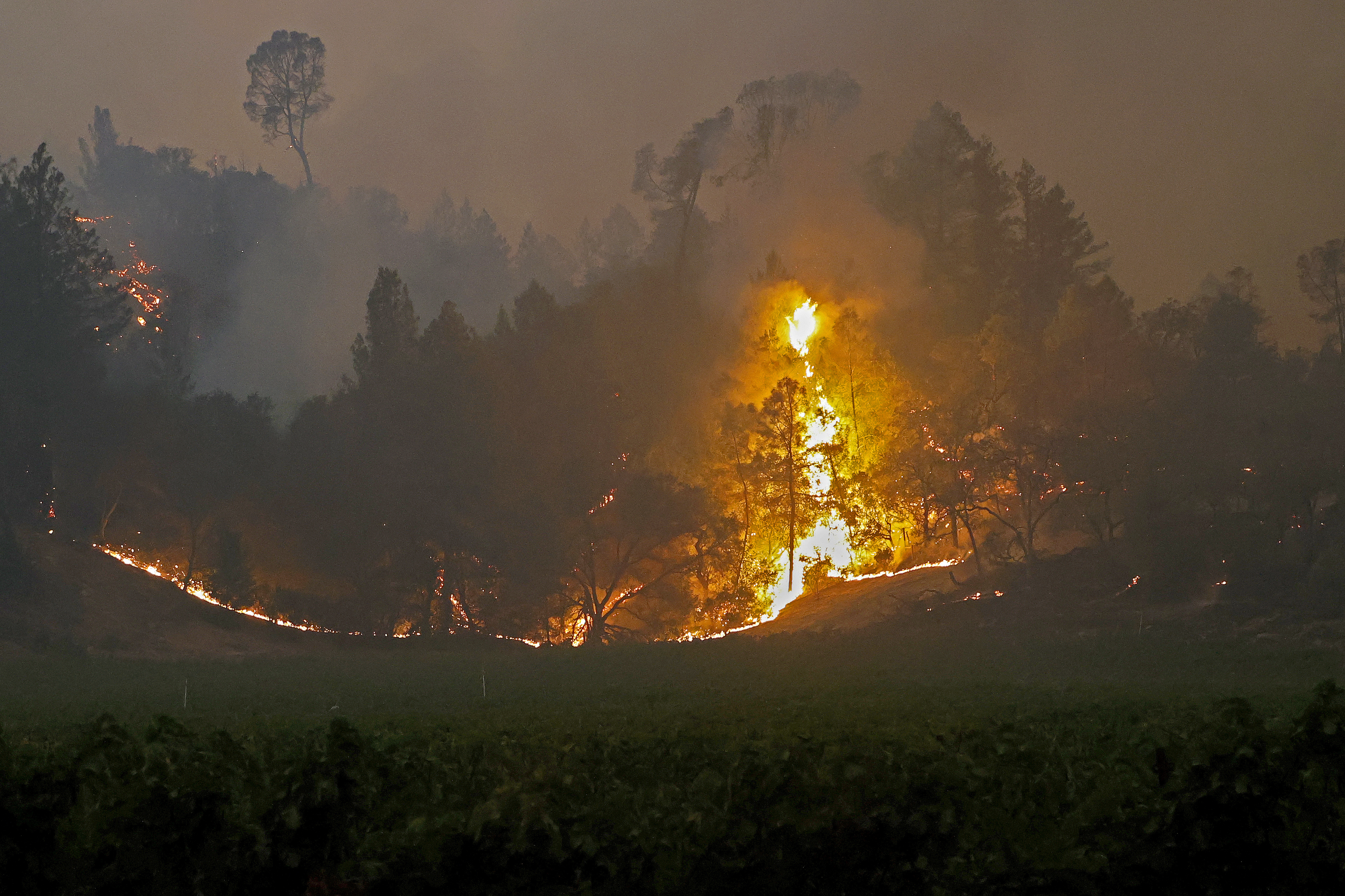 Glass Fire in Napa County, California
