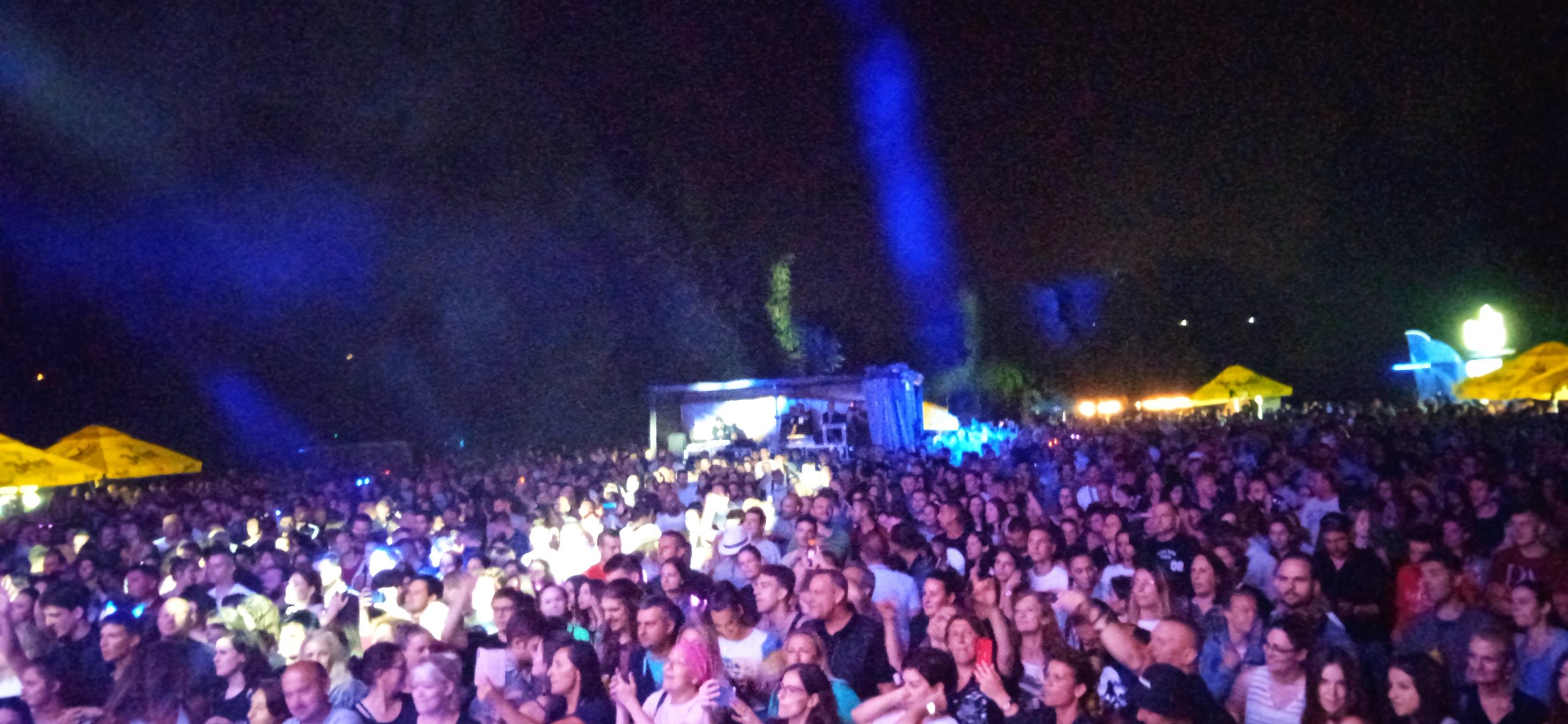 Most Fest, Rača, Drinska regata Toni Cetinski Foto: Slavica Panić/Nova.rs
