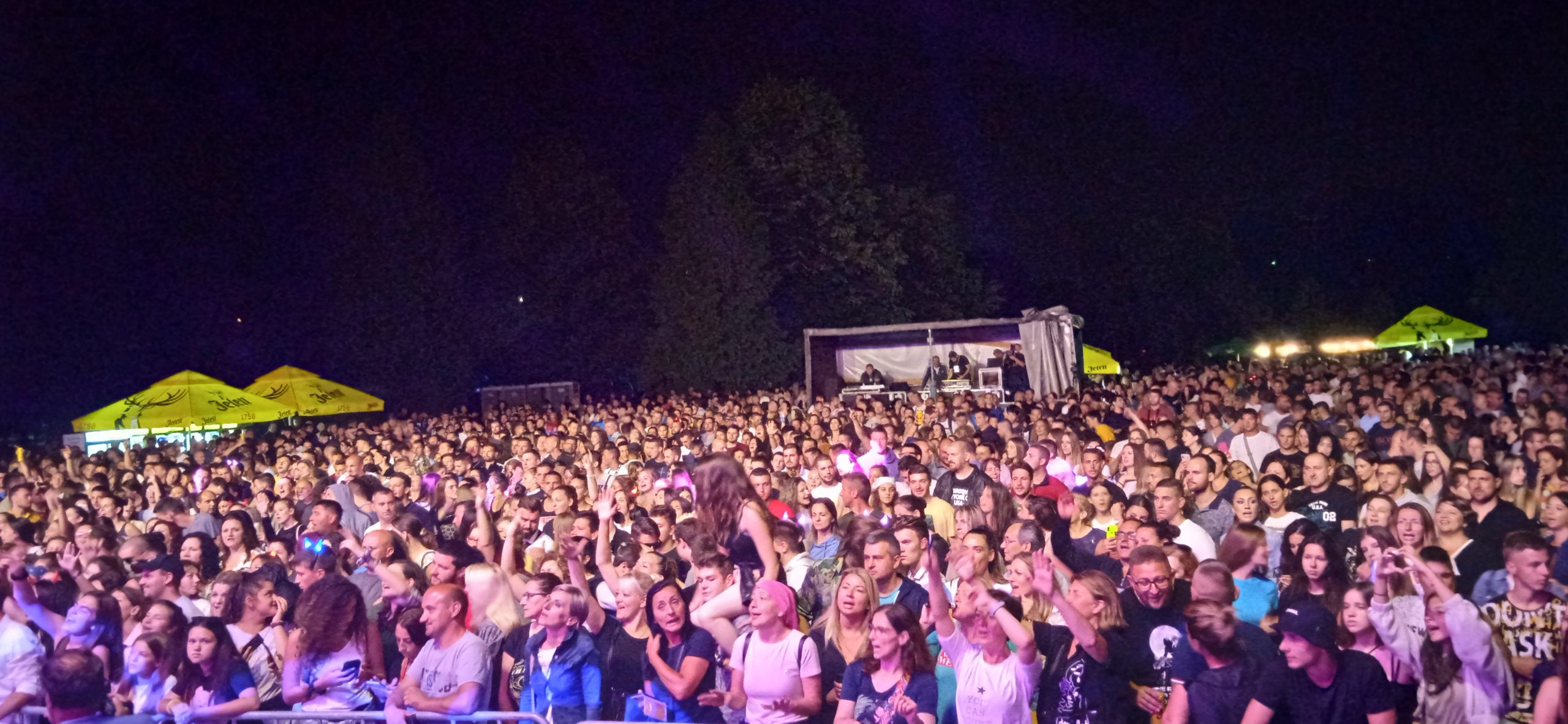 Most Fest, Rača, Drinska regata Toni Cetinski Foto: Slavica Panić/Nova.rs