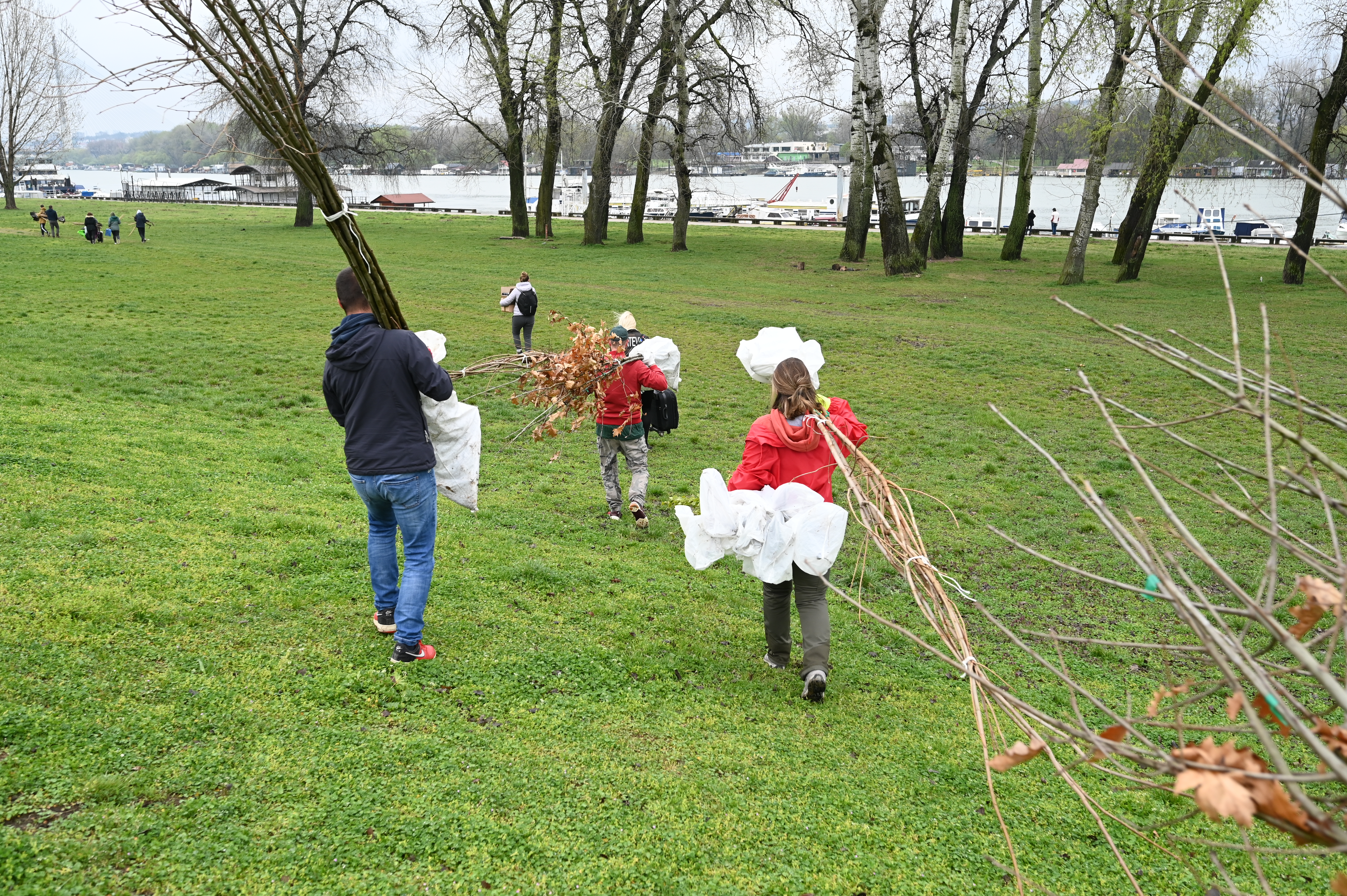 SBB fondacija, akcija ozelenjavanja Novog Beograda