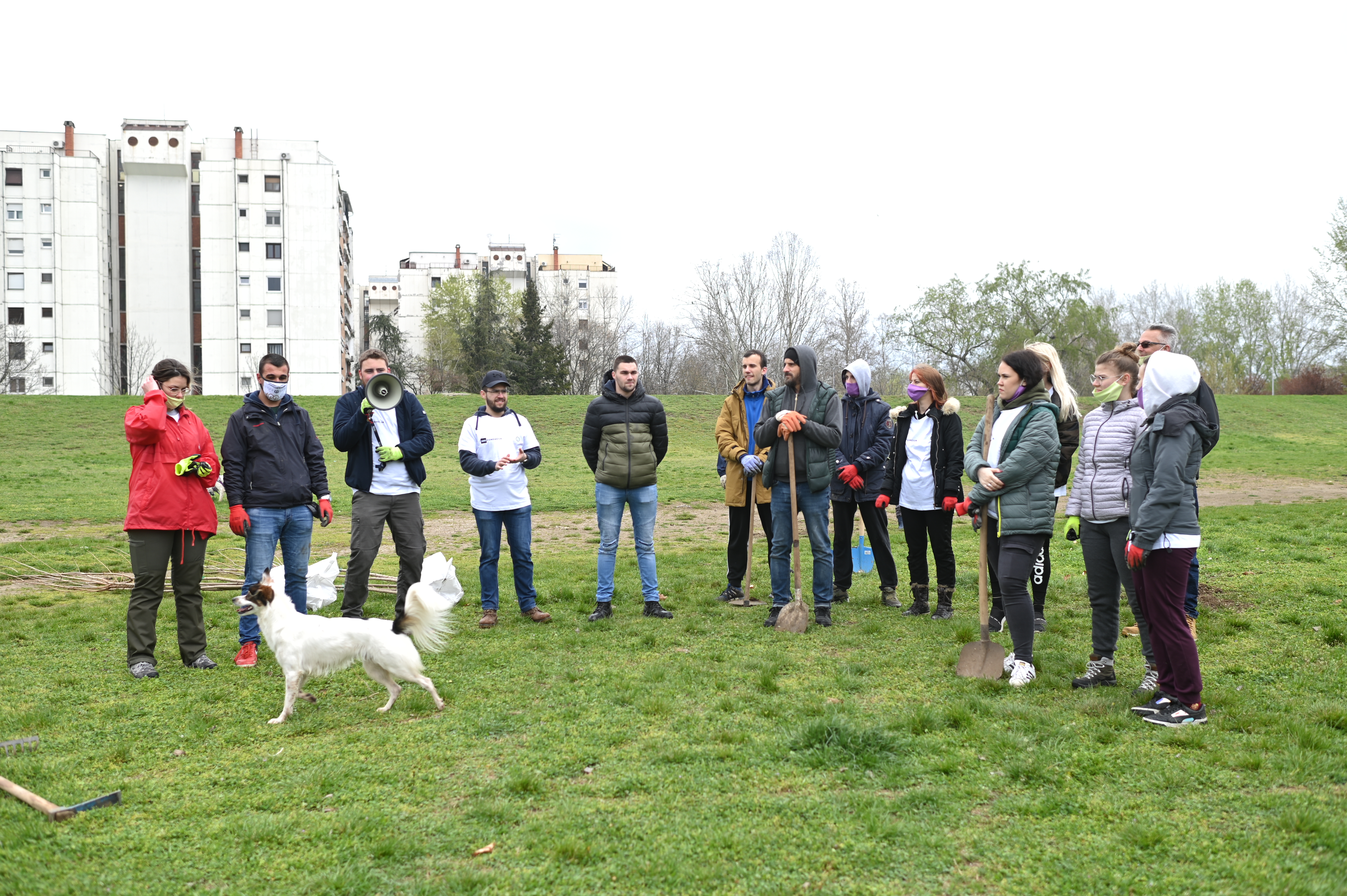 SBB fondacija, akcija ozelenjavanja Novog Beograda