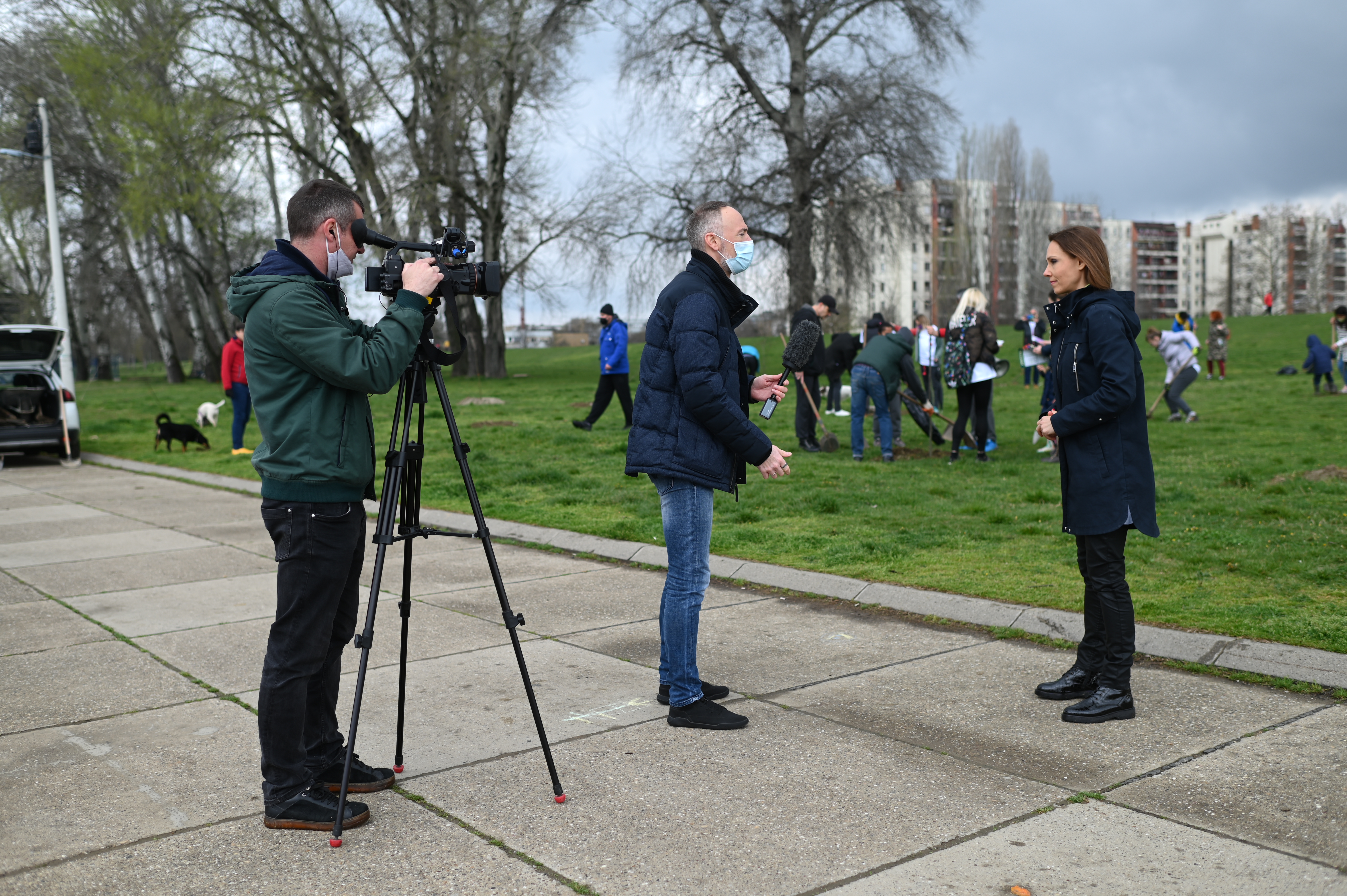 SBB fondacija, akcija ozelenjavanja Novog Beograda
