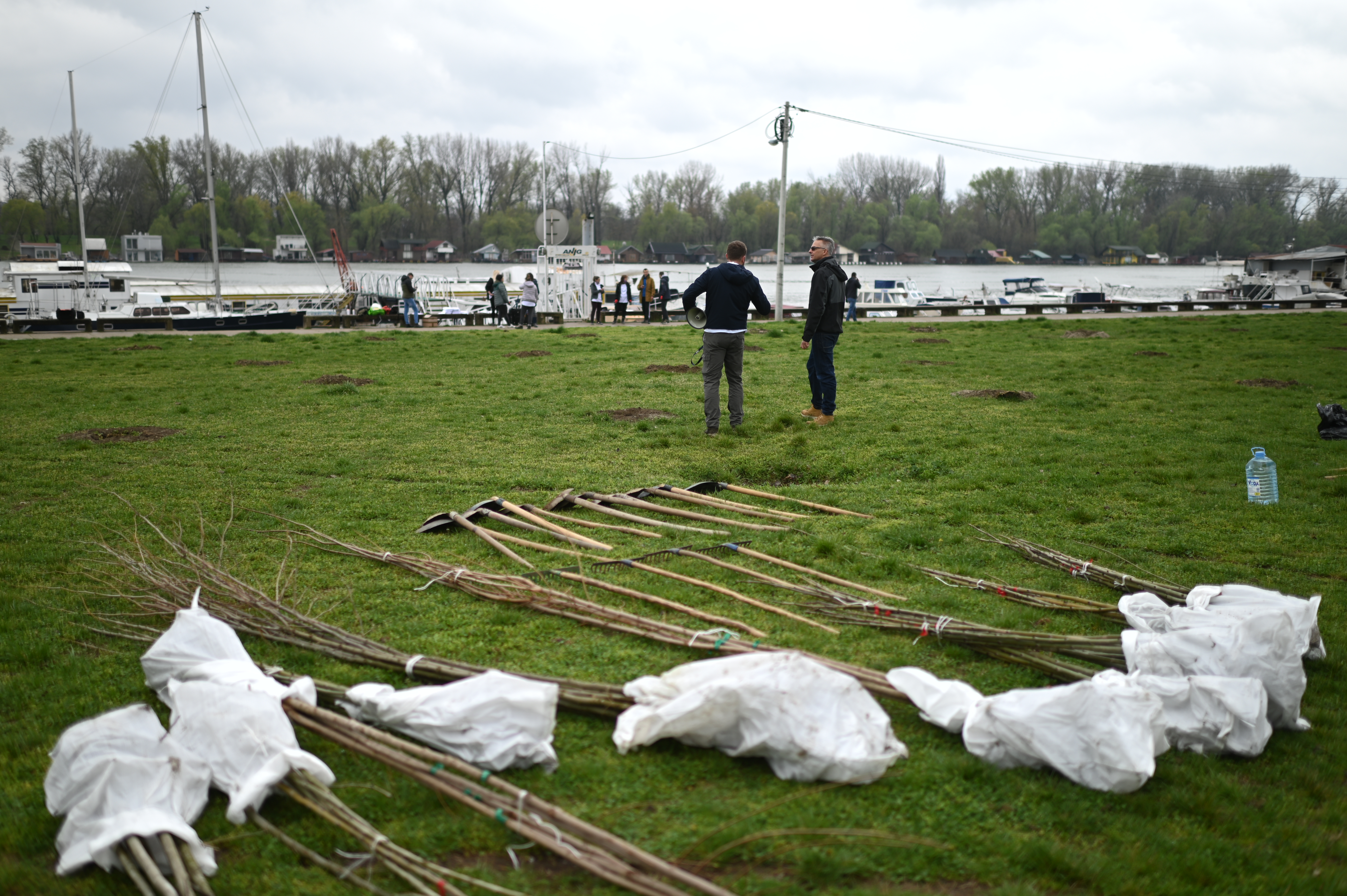SBB fondacija, akcija ozelenjavanja Novog Beograda