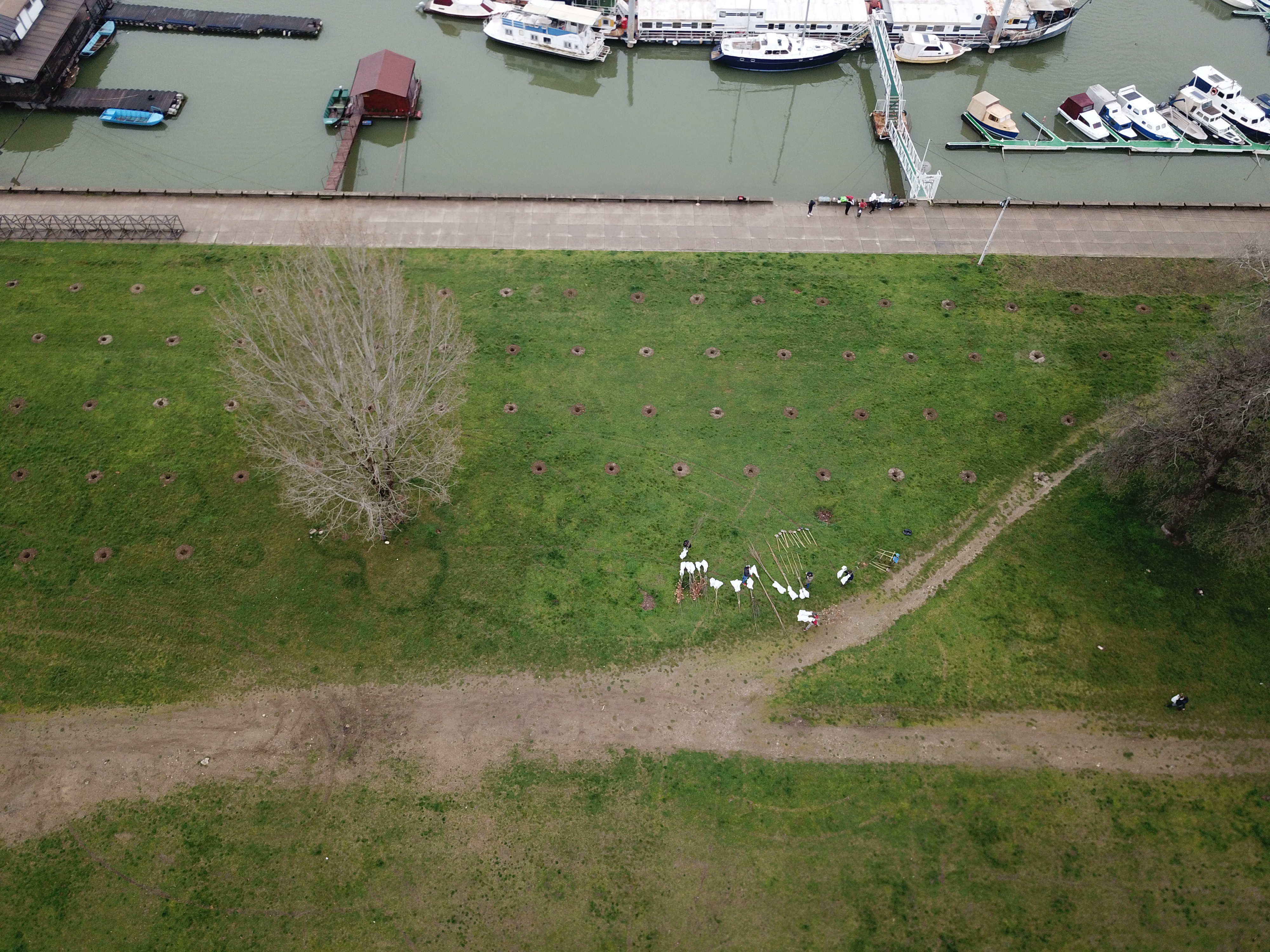 SBB fondacija, akcija ozelenjavanja Novog Beograda