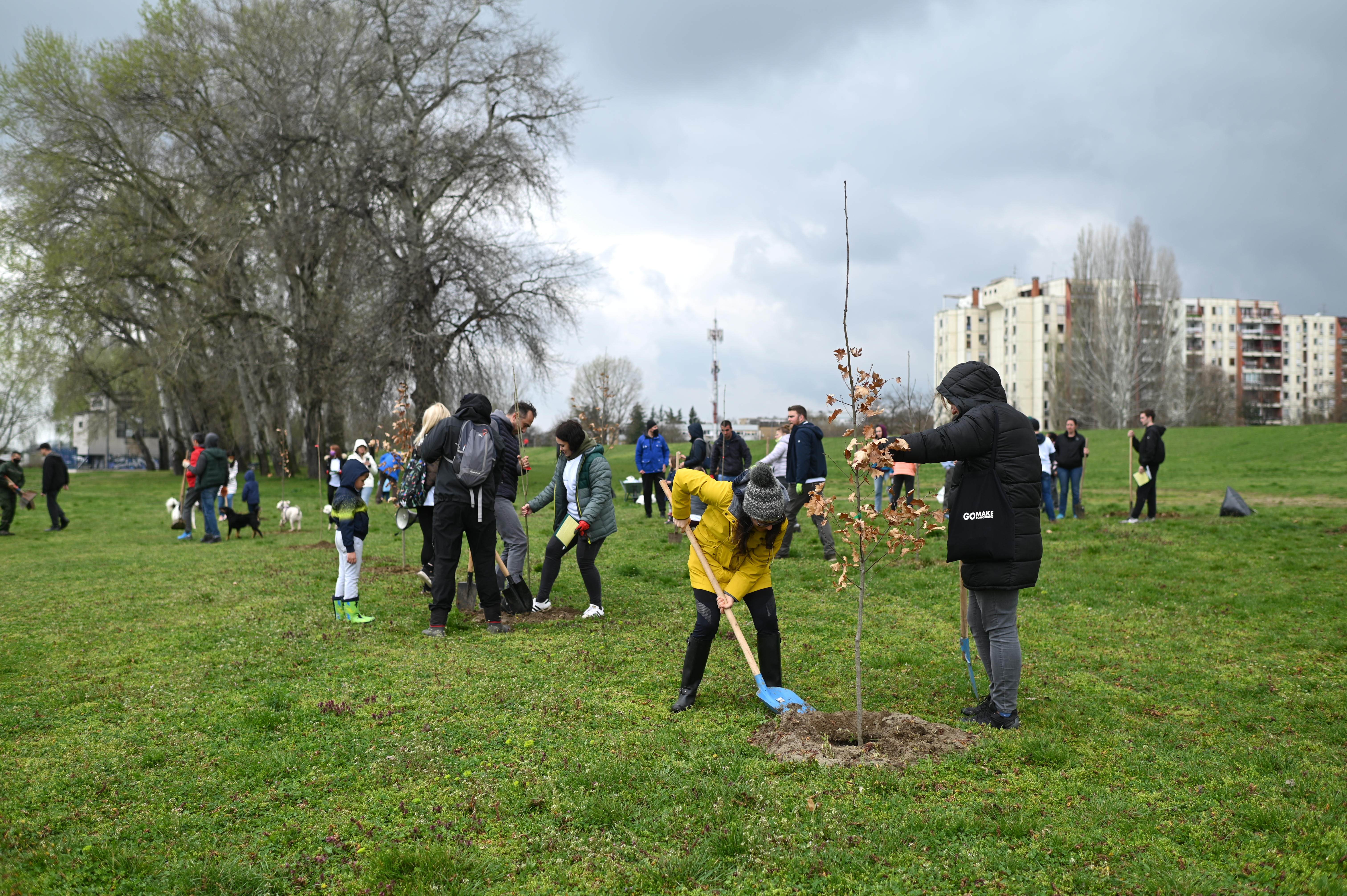 SBB fondacija, akcija ozelenjavanja Novog Beograda