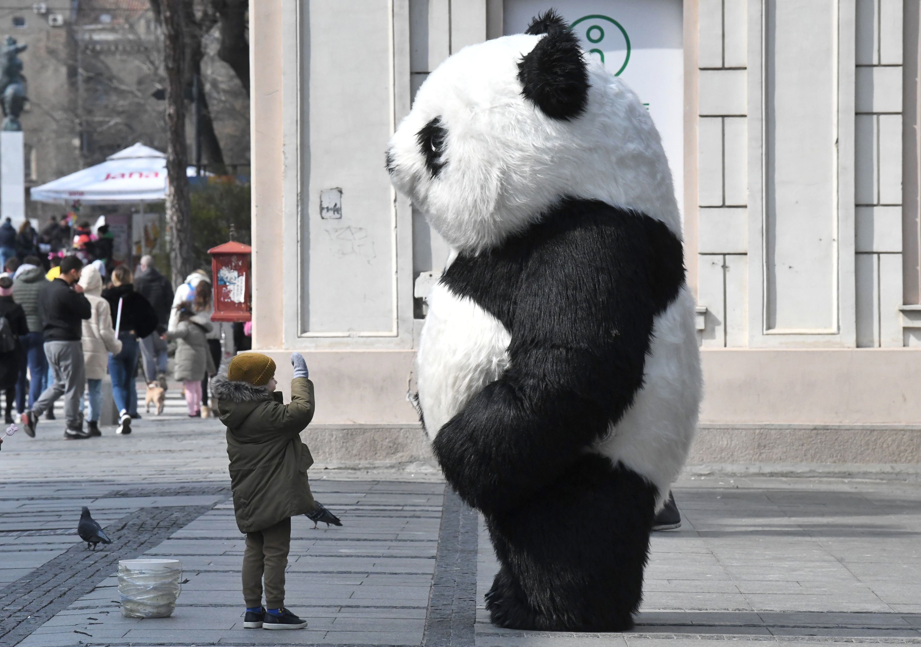 Beograd 20.03.2021. Lepo vreme, decak i panda, Knez Mihajlova Foto: Filip Krainčanić/Nova.rs