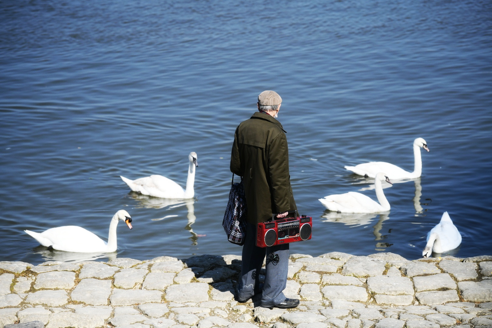 Beograd 26.03.2021. Zemunski kej, Zemun, lepo vreme, proleće, ljudi, ptice Foto: Vesna Lalić/Nova.rs