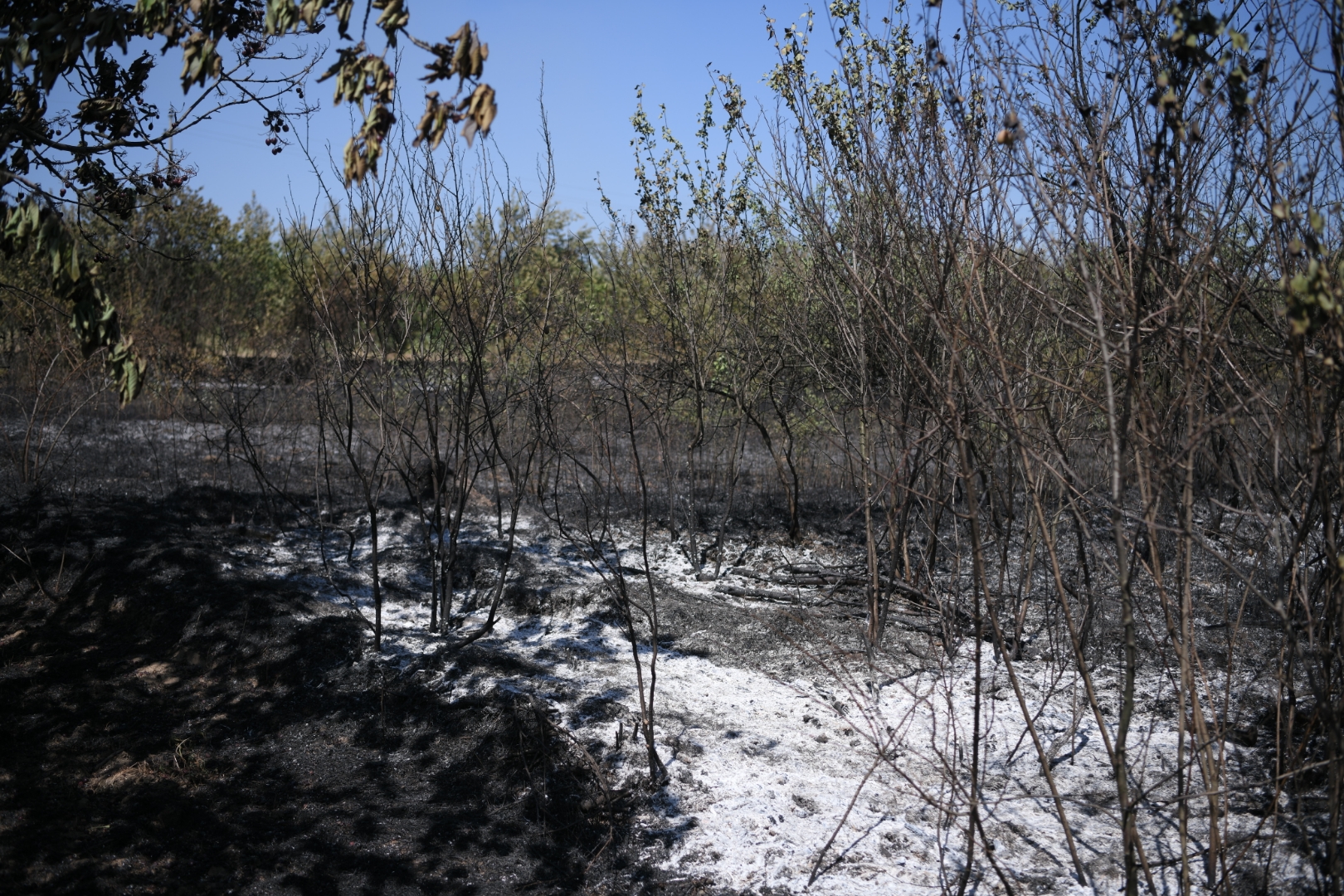 pozar vinca foto dragan mujan nova rs_1577