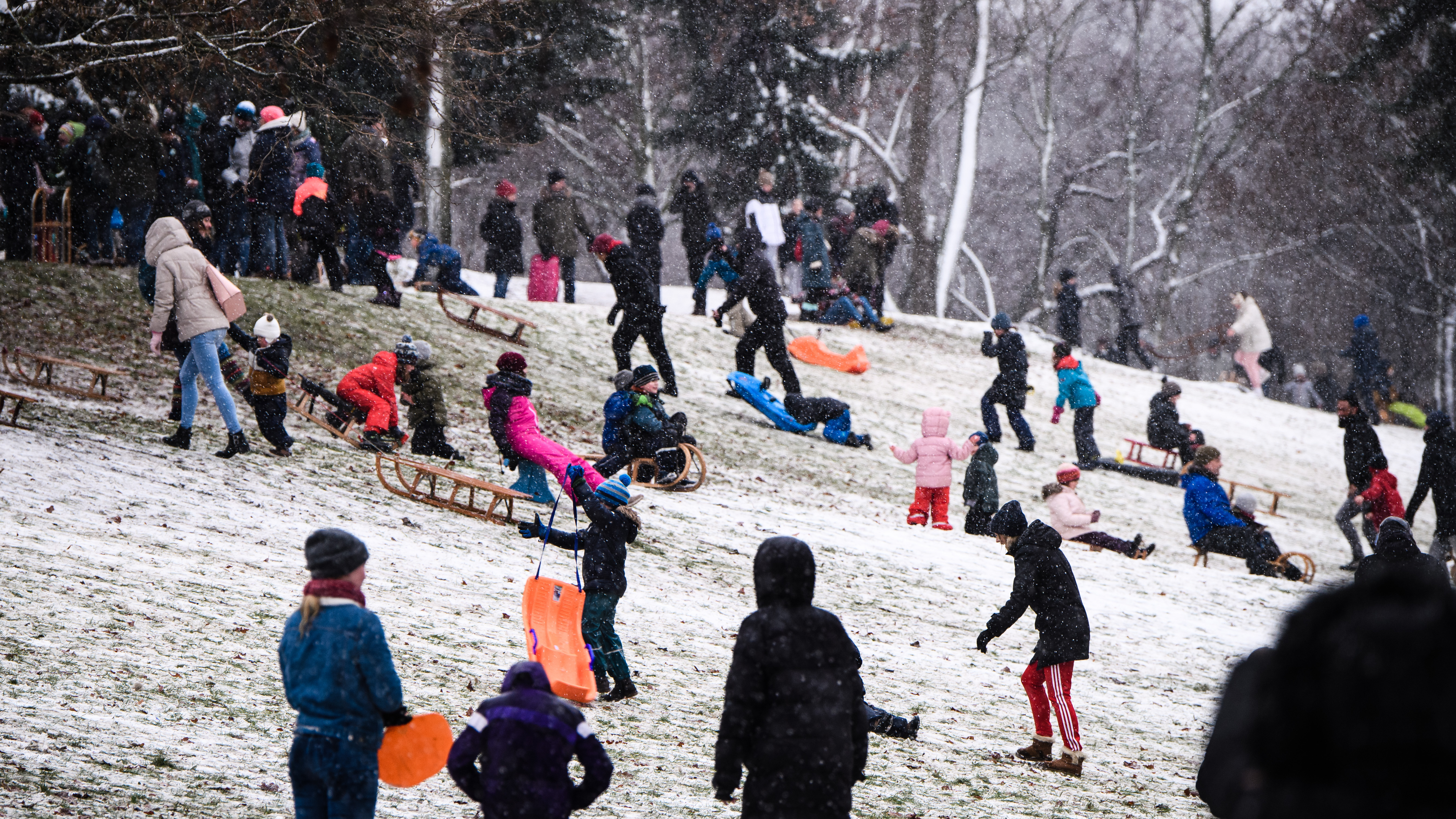 epa08916562 People use snow sleds in Volkspark Friedrichshain during snowfall in Berlin, Germany, 03 January 2021. Media reports state, that up to 5 centimeters fresh snow might be expected.  EPA-EFE/CLEMENS BILAN