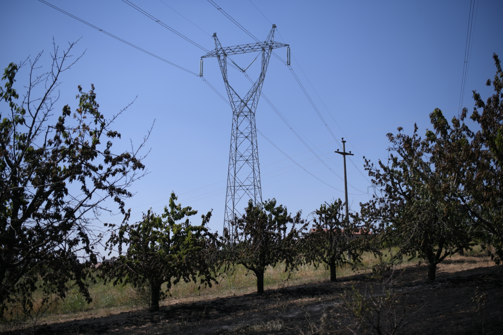Beograd 08.07.2021. Vinča, požar, dalekovod, struja Foto: Dragan Mujan/Nova.rs