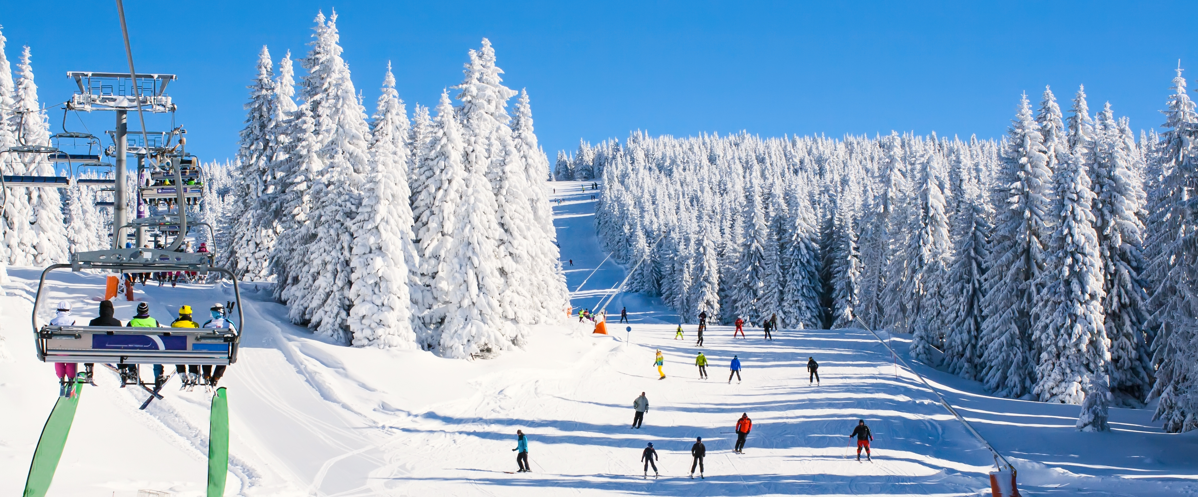 Kopaonik, skijanje, sneg Foto: Shutterstock
