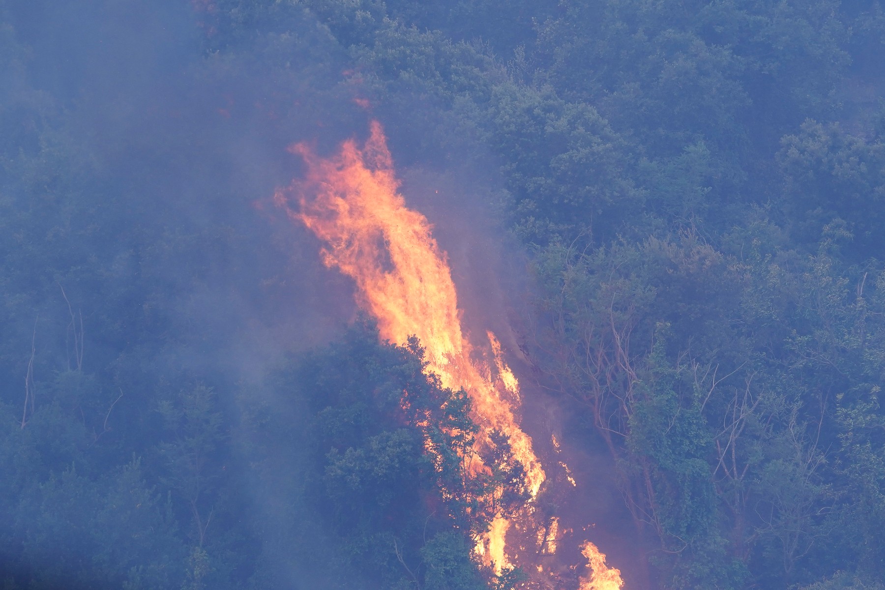 Sardegna; incendi nell'Oristanese, le fiamme raggiungono Cuglieri