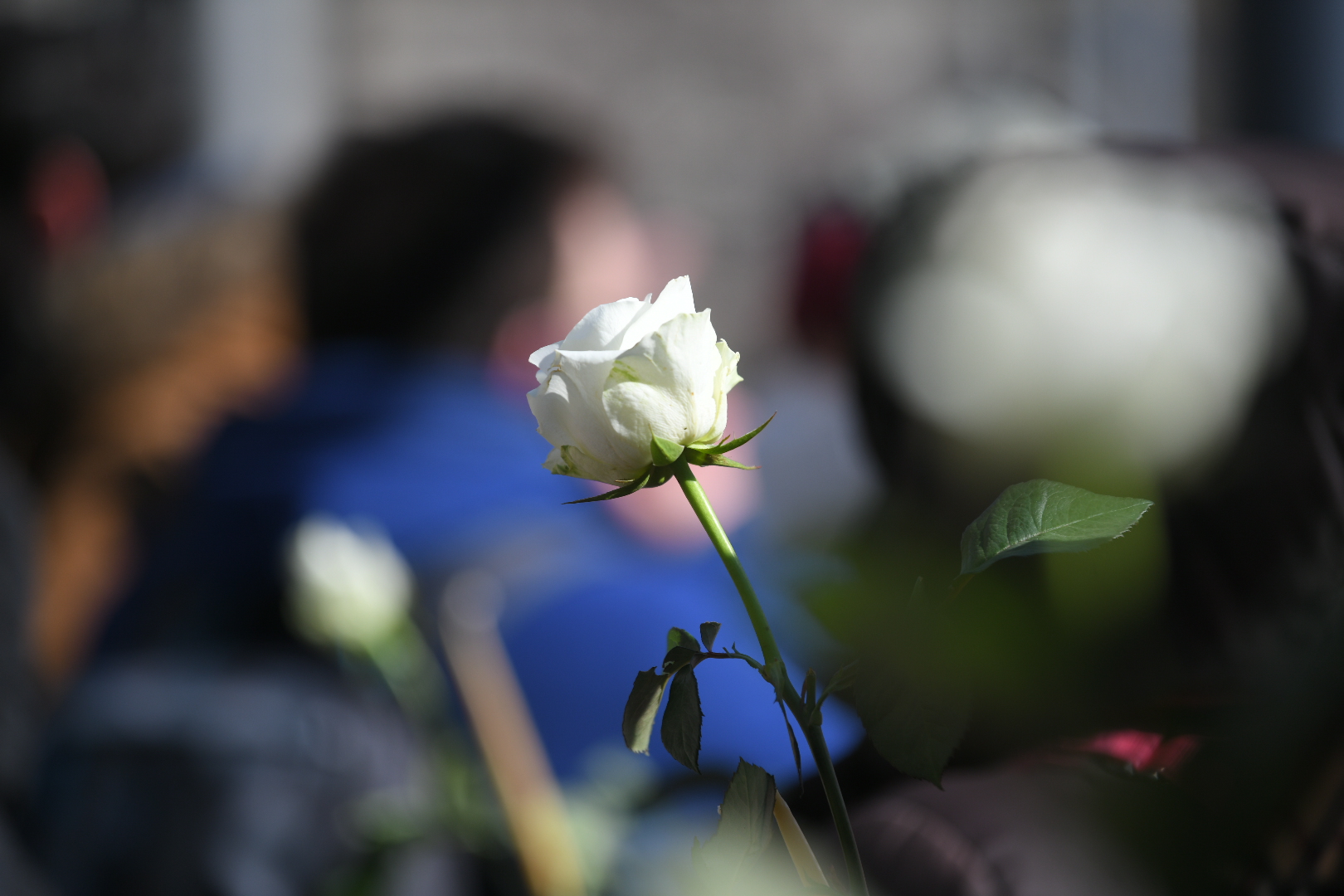 Beograd 15.02.2021. Protest Sindikata lekara i farmaceuta ispre Vlade Srbije. Sindikat lekara i farmaceuta, Vlada Srbije Foto: Nemanja Jovanović/Nova.rs
