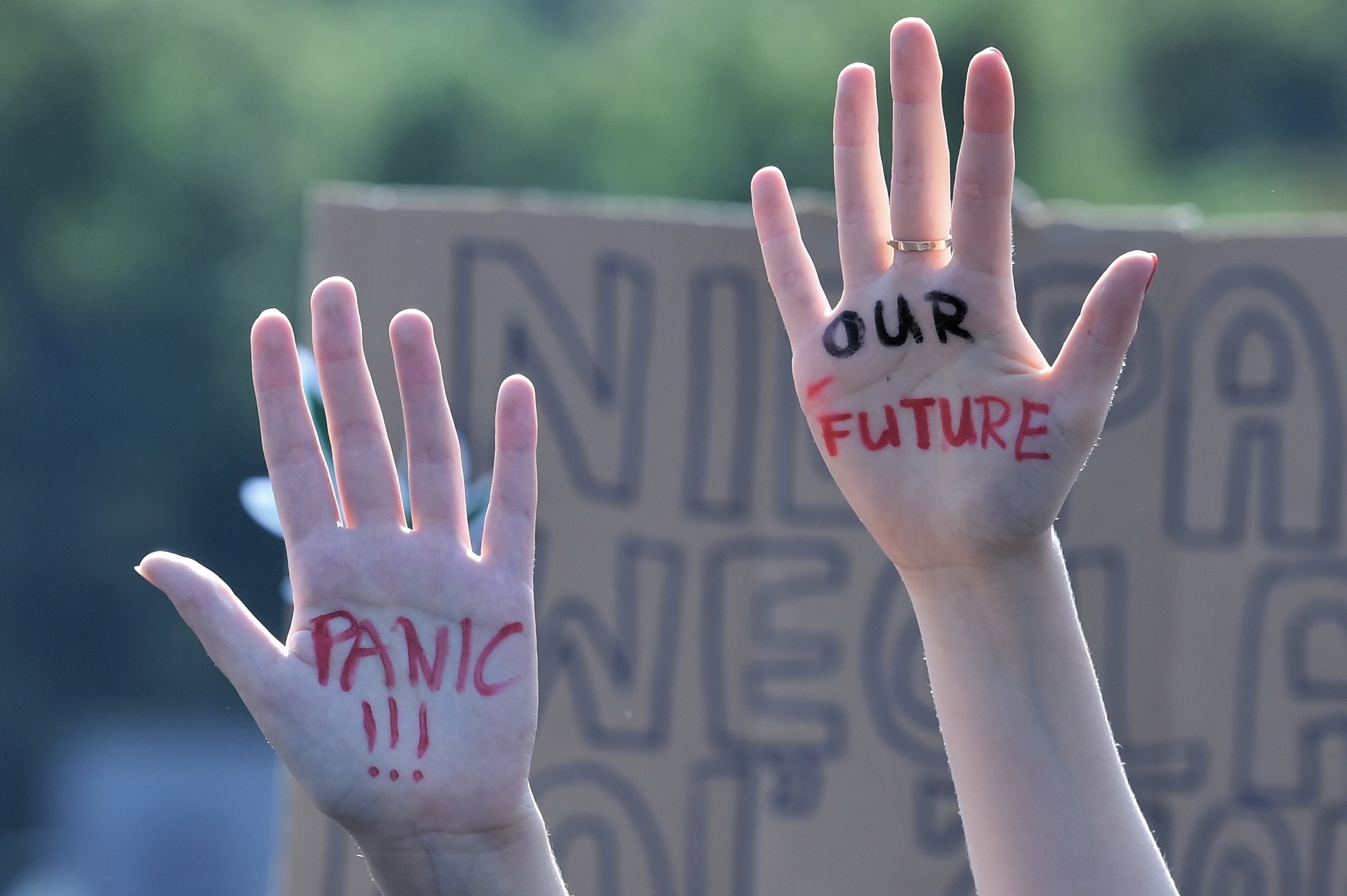 Climate strike in Rzeszow