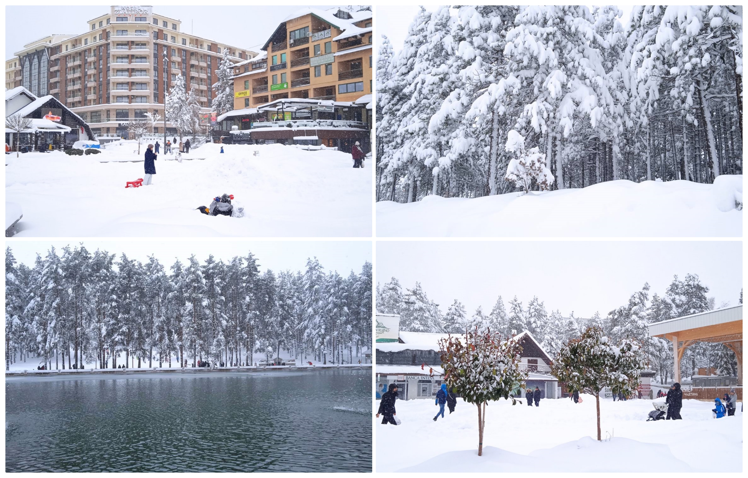 zlatibor sneg