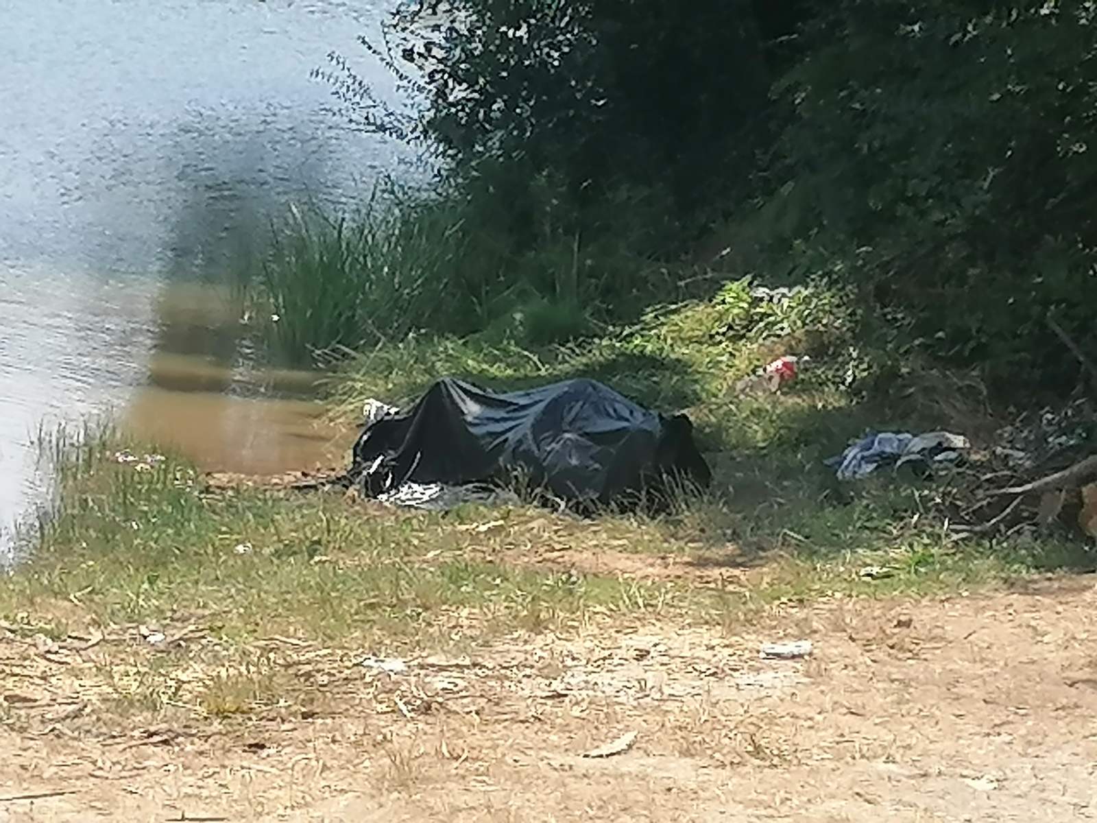 rastovnica telao2 foto biljana roganovic (2)