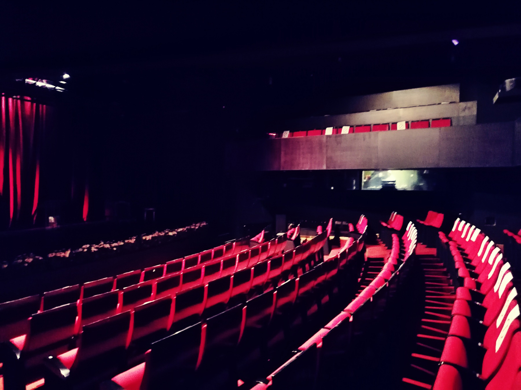 Obelezavanje dana Roma, Romi