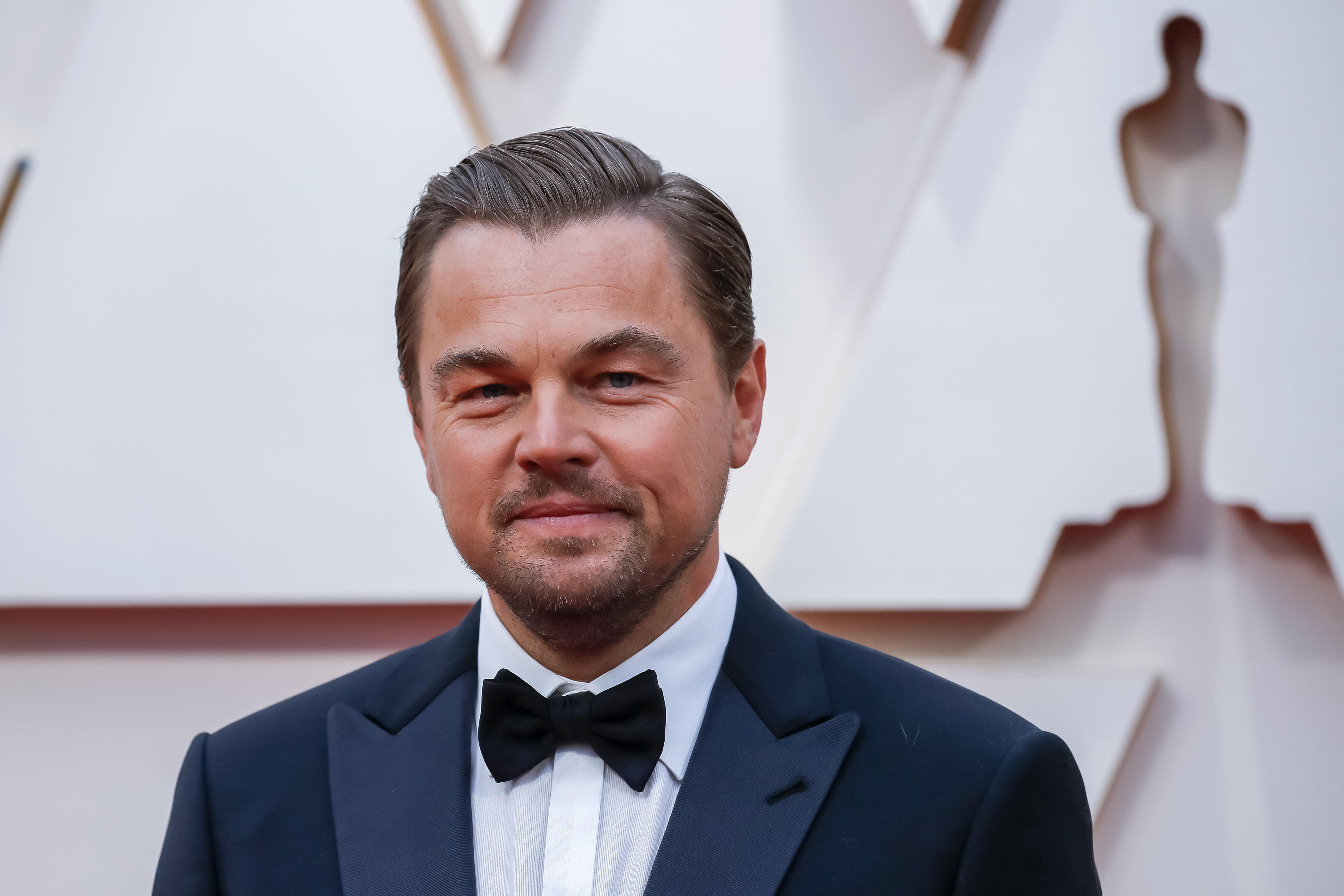 Arrivals - 92nd Academy Awards