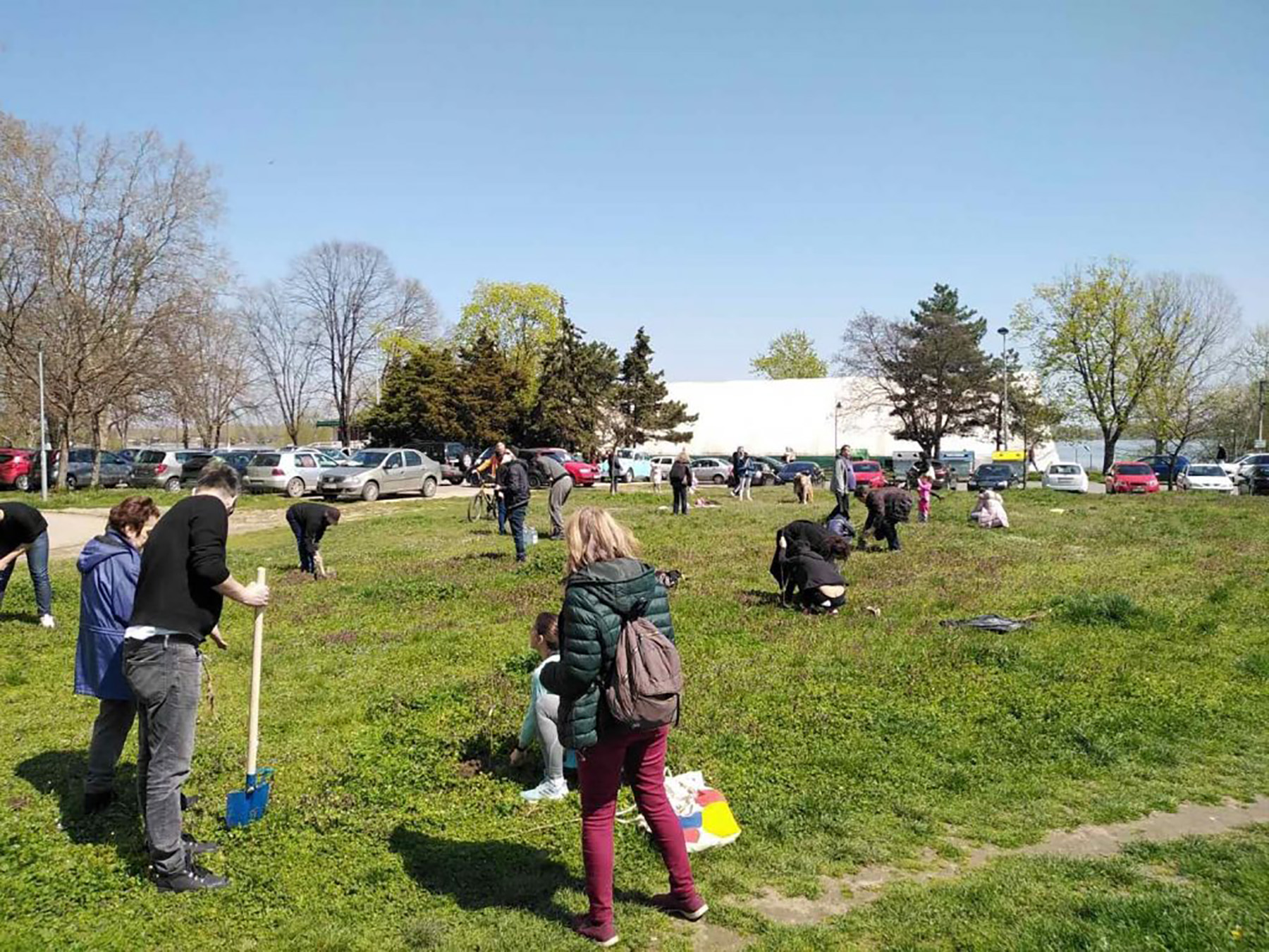 Stanovnici Karađorđeve i Keja posadili jasenove na mestu planiranog parkinga