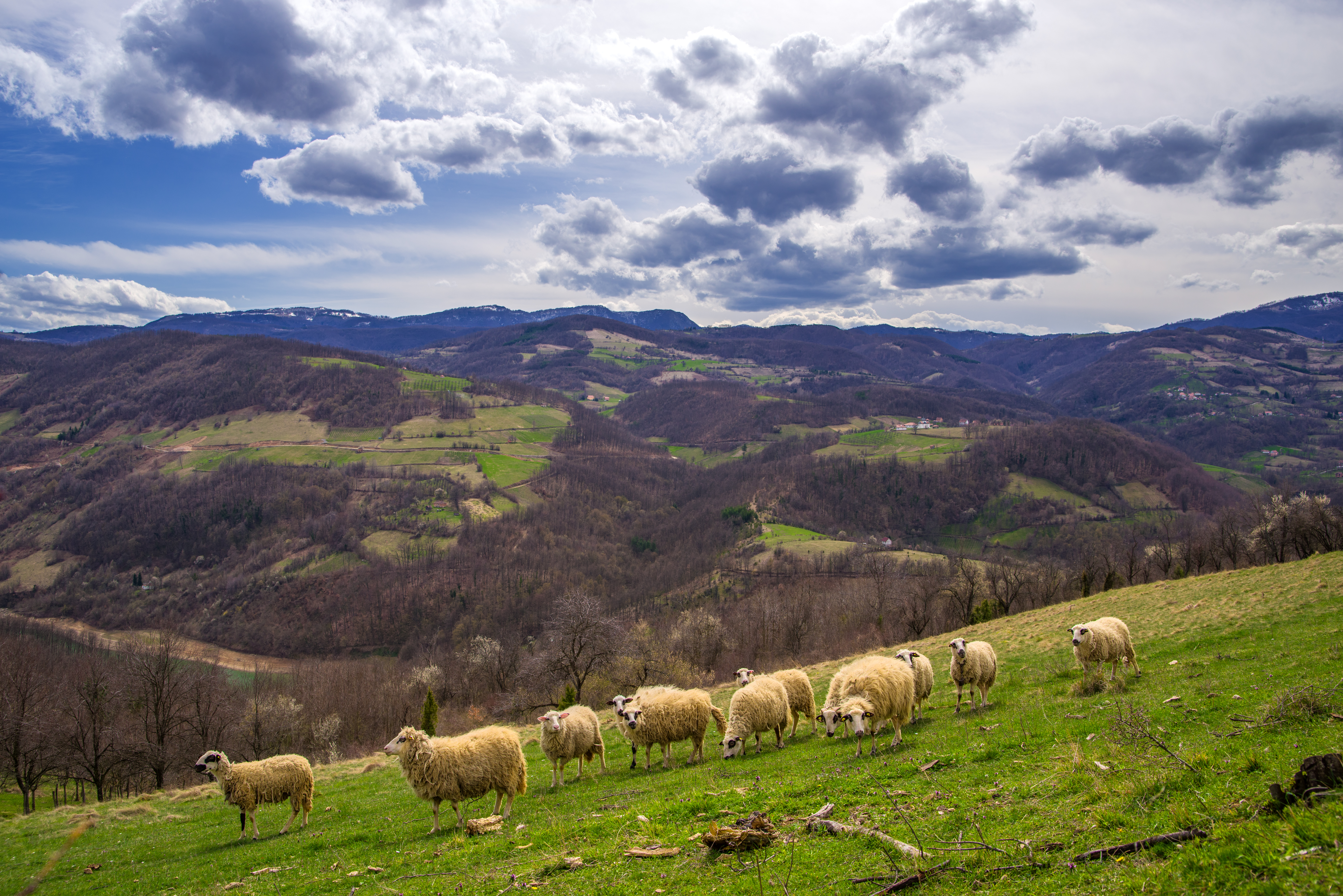bobija planina