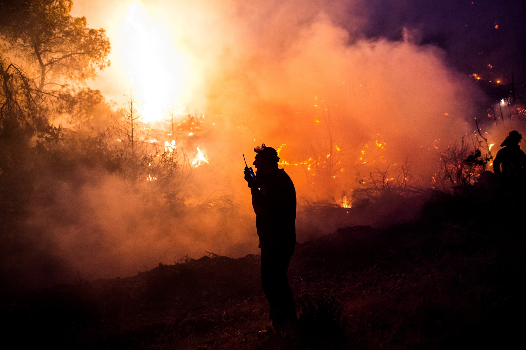 profimedia-0465042341