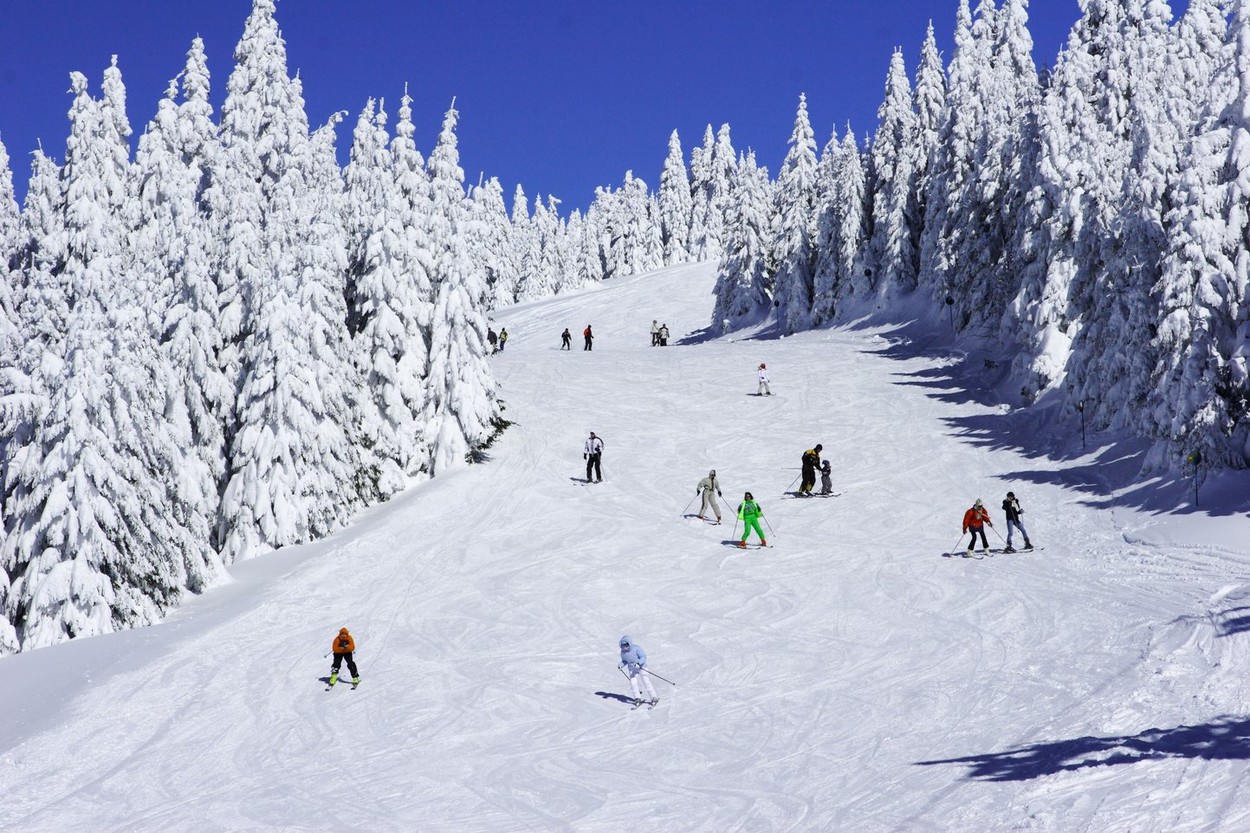 ski slope on Kopaonik mountain, Serbia
