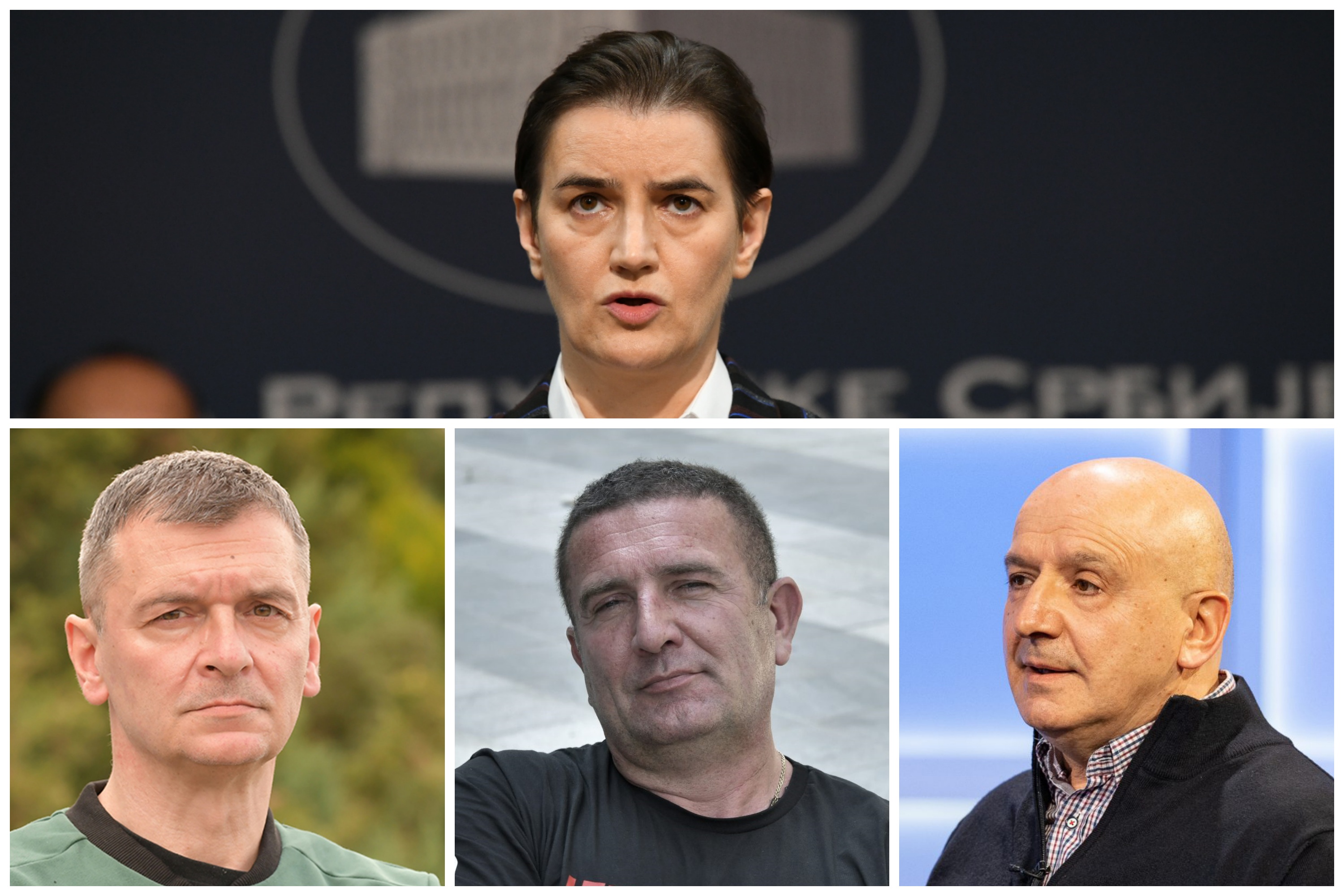 Brnabića u sredini, a ko nje se nalaze Ćuta Jovanović, Dejan Žujović i dekan Šumarskog fakulteta, Ratko Ristić.