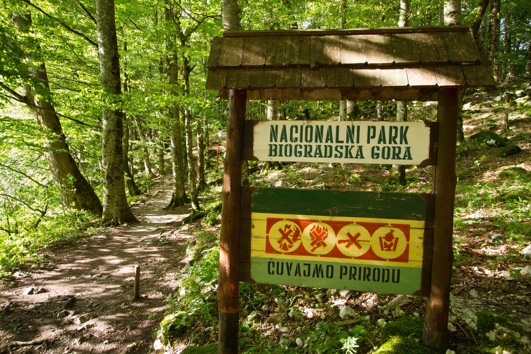 BIOGRAD LAKE<br />Signpost in the NP of Biogradska Gora in Montenegro.<br />Biosphoto / Michel Cavalier,Image: 282343481, License: Rights-managed, Restrictions: ILLUSTRATION IMAGE, Model Release: no, Credit line: Michel Cavalier / AFP / Profimedia