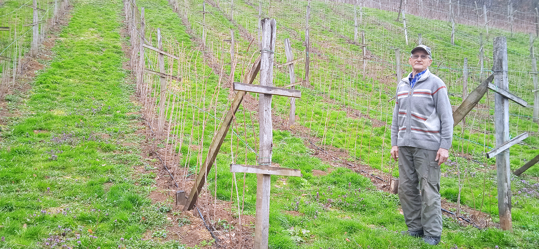 Meštani Dobrinje: Gvozdenim vilama i svojim telima branićemo svoju zemlju