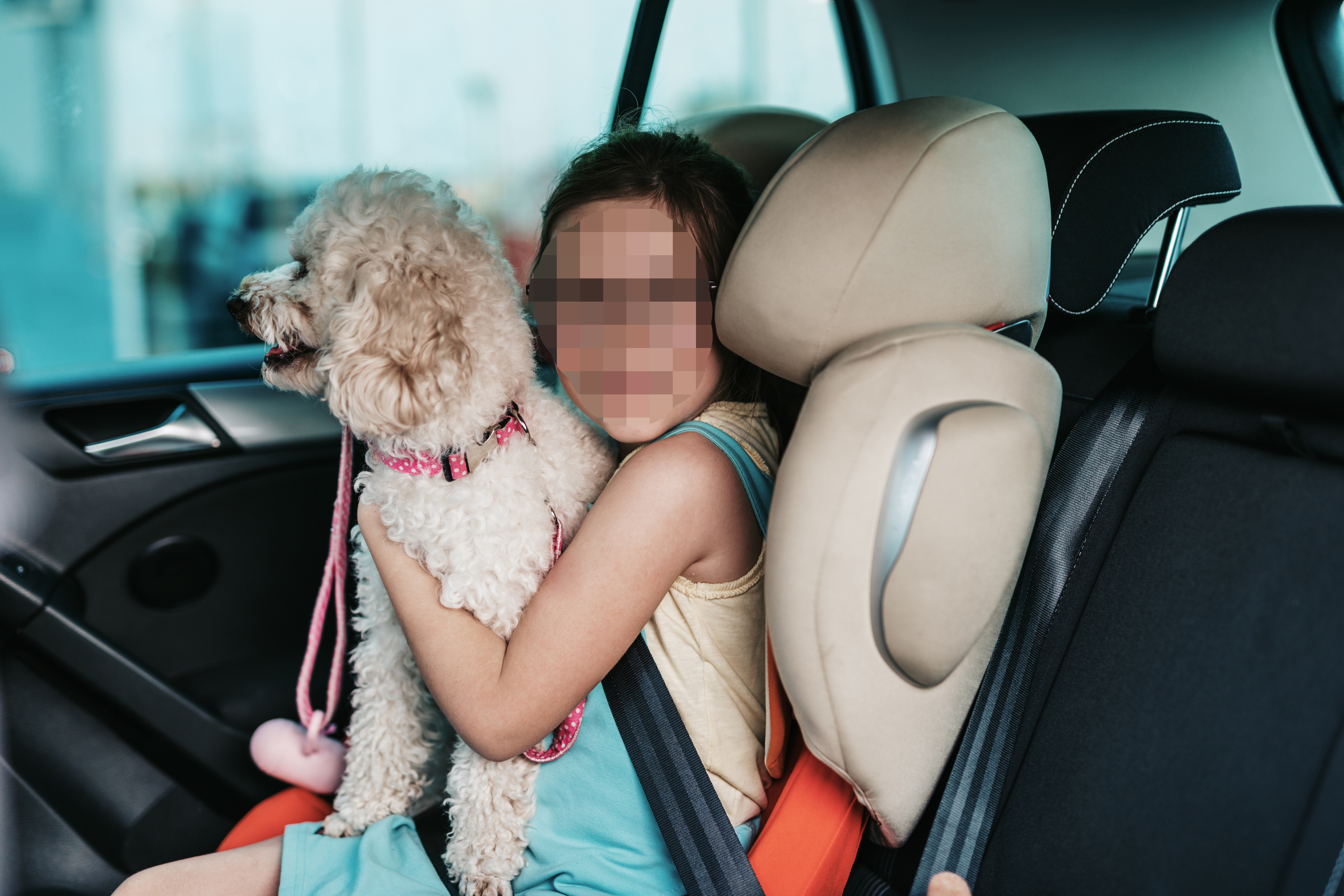 Cute girl sitting in a car with her dog on a safety child car seat. devojcica u kolima