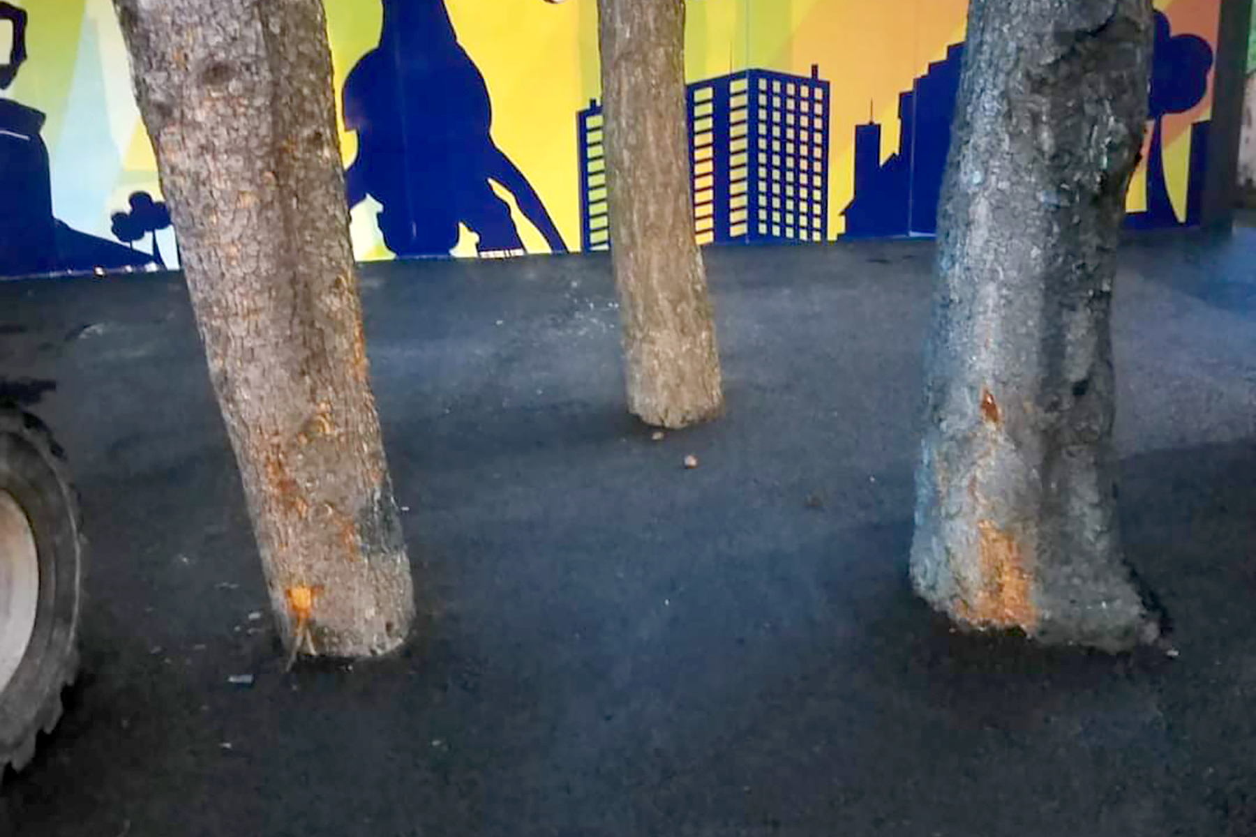 Betonirano drvece, fotografije poslao Nebojsa Todorovic