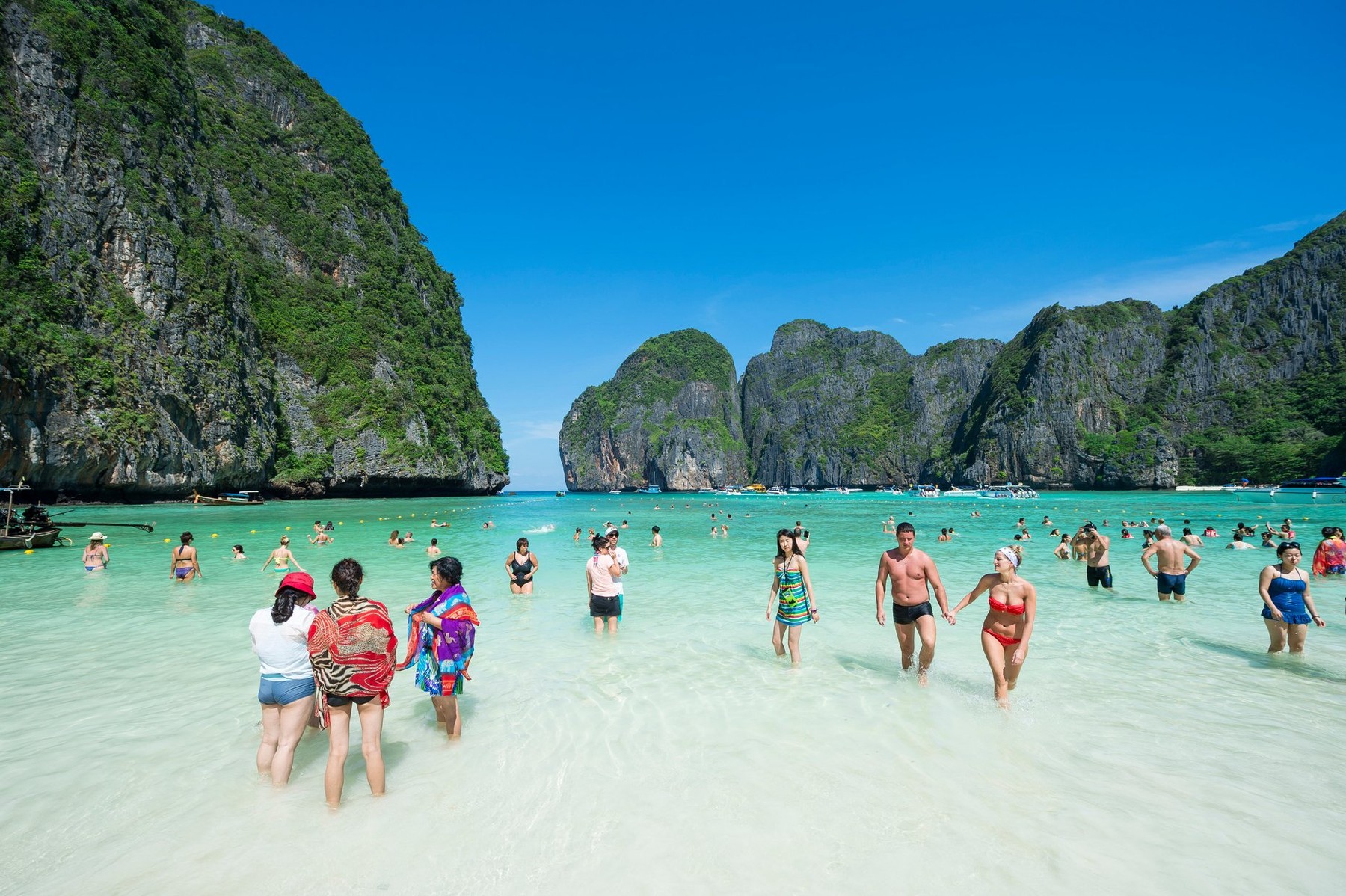 Image: 335020025, License: Rights-managed, Restrictions: , Model Release: no, Credit line: Lazyllama / Alamy / Alamy / Profimedia