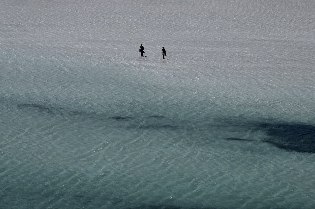 profimedia-0610750392