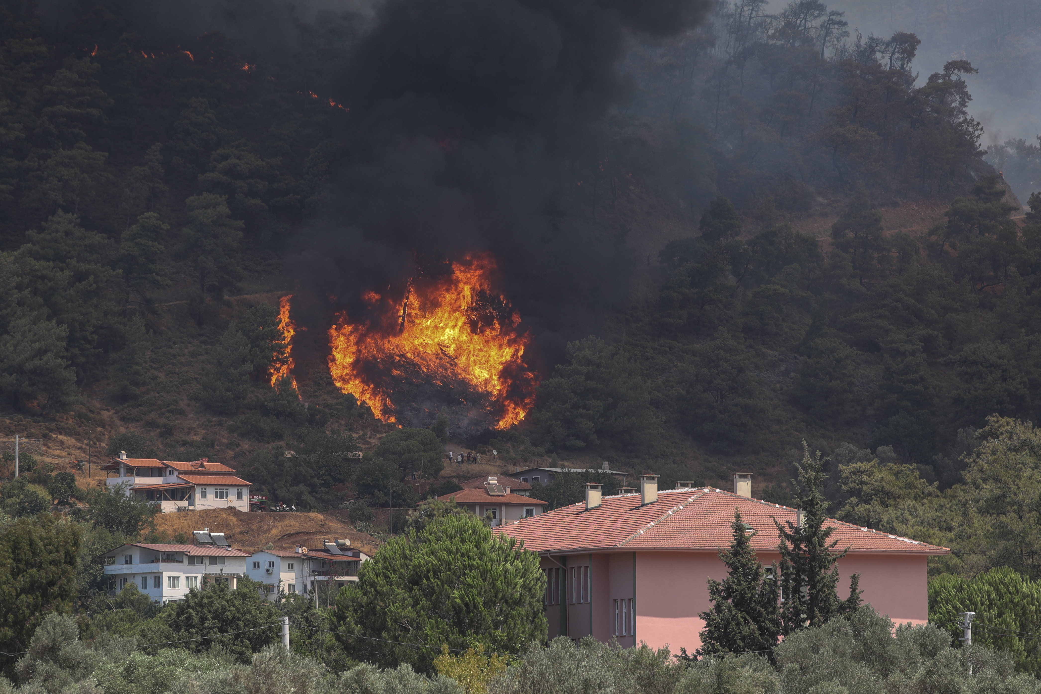 Wildfires in Turkey Turska pozar