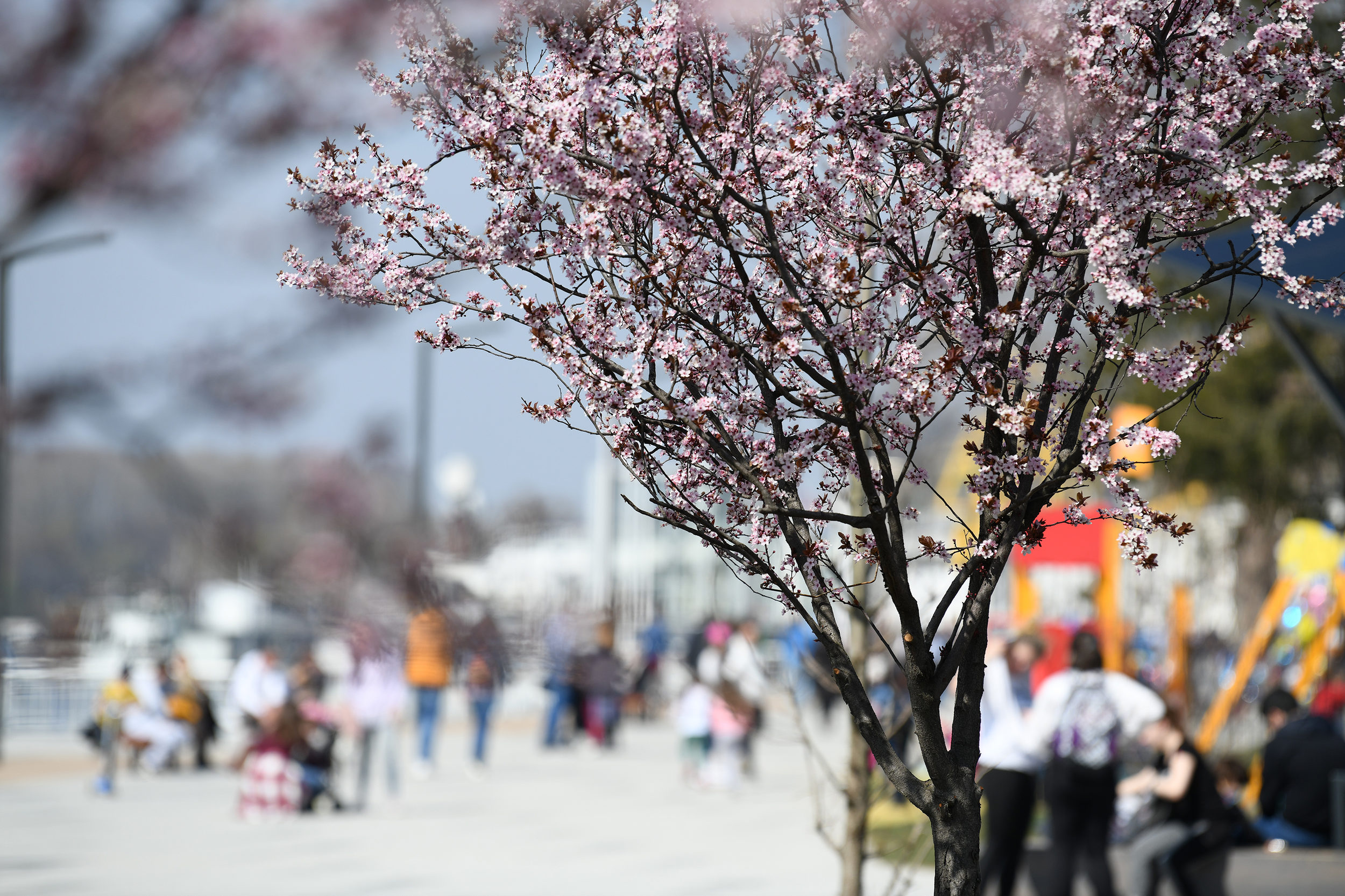 beograd 27 mart 2021   lepo vreme, kalemegdan , beton hala, šetalište