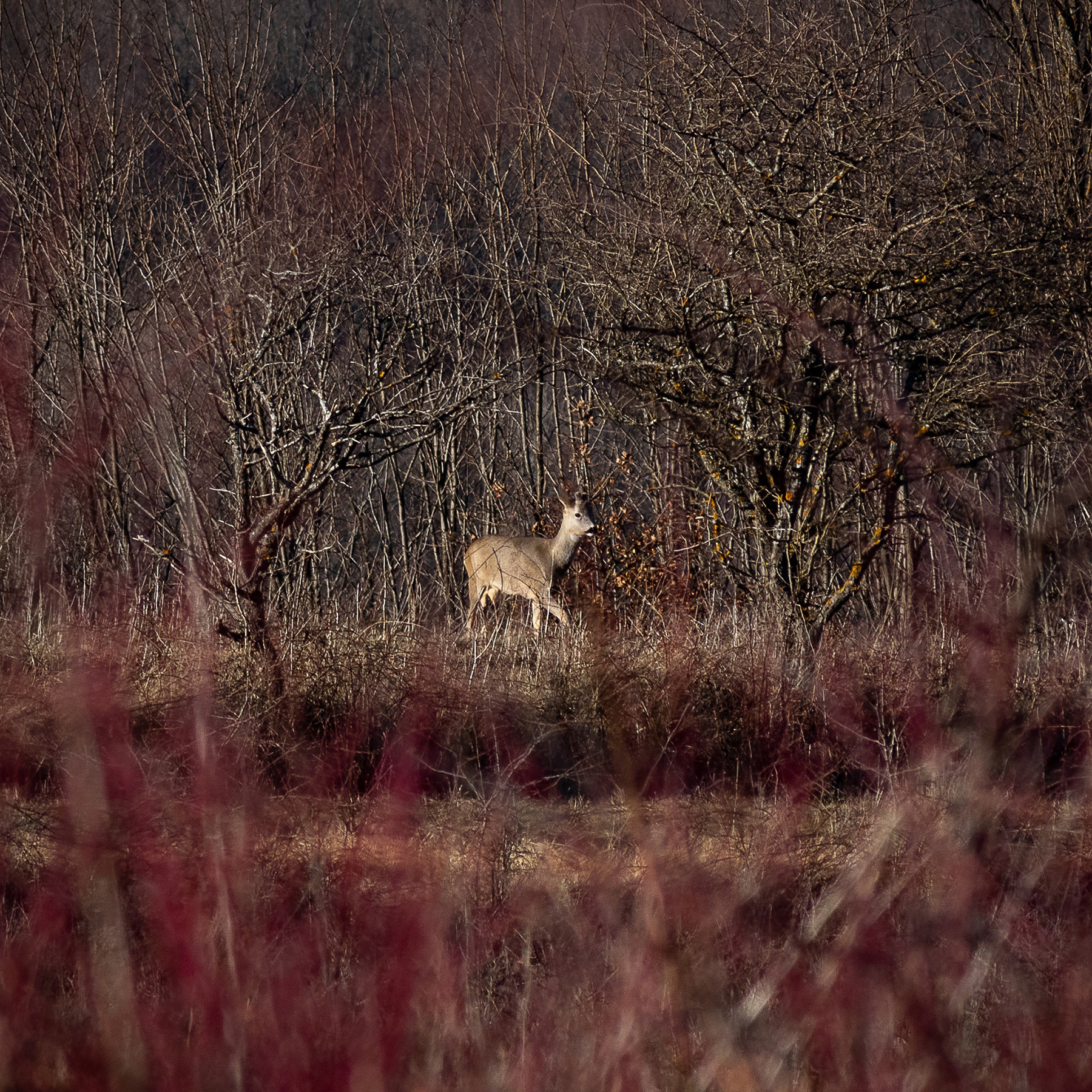 Srb, Lika, Una, fotografije prosledila Dragana Pandurević
